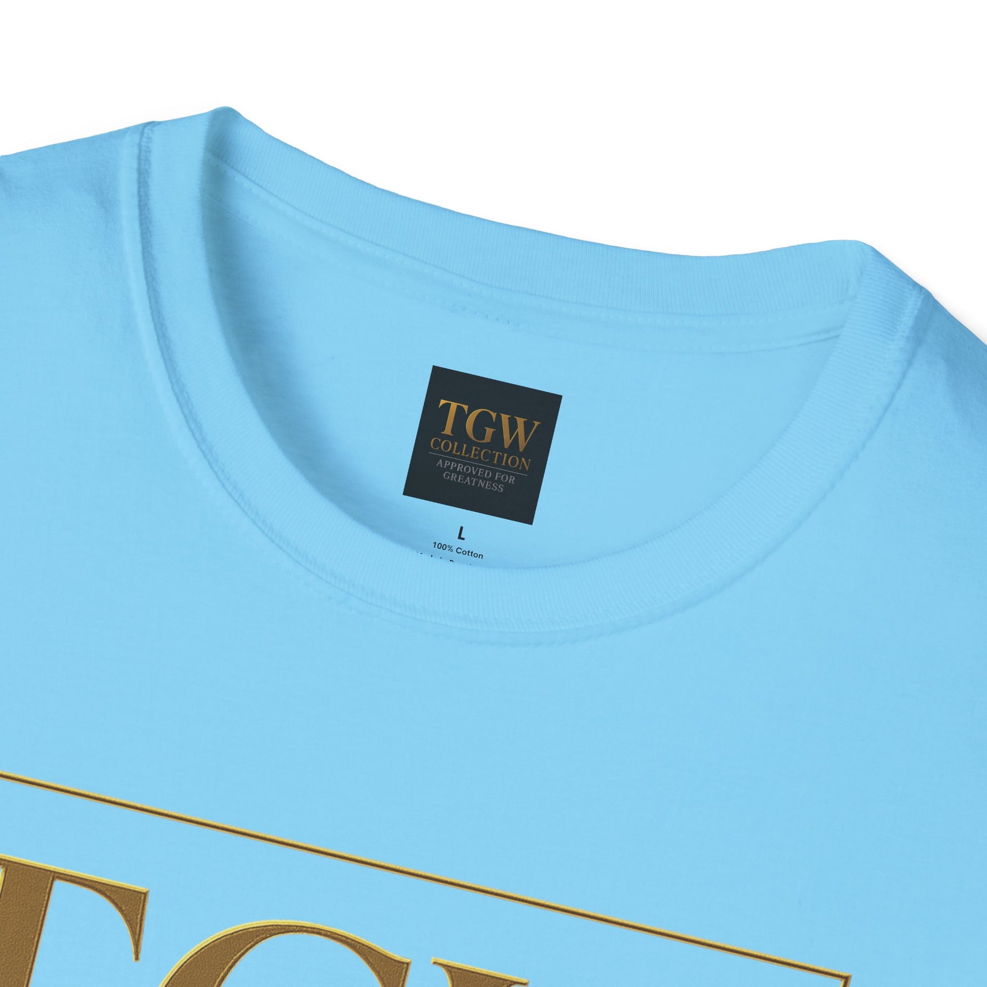 Stylish Soft style T-Shirt, Casual Wear, Gift for Friends, Fashionable Statement Tee, Perfect for Holidays, Everyday Outfit