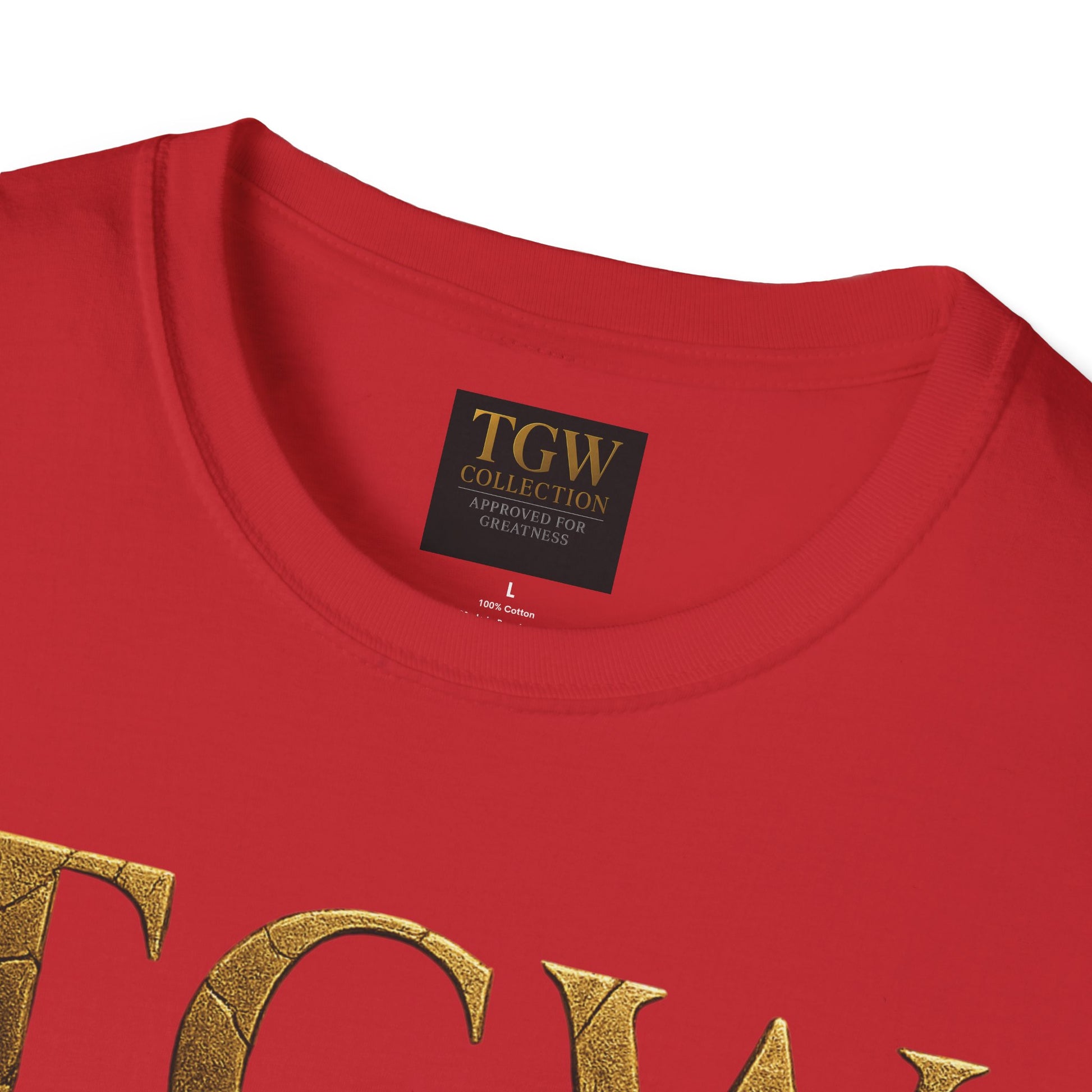 Stylish T-Shirt - Casual Wear for Everyday Comfort, Relaxed Fit