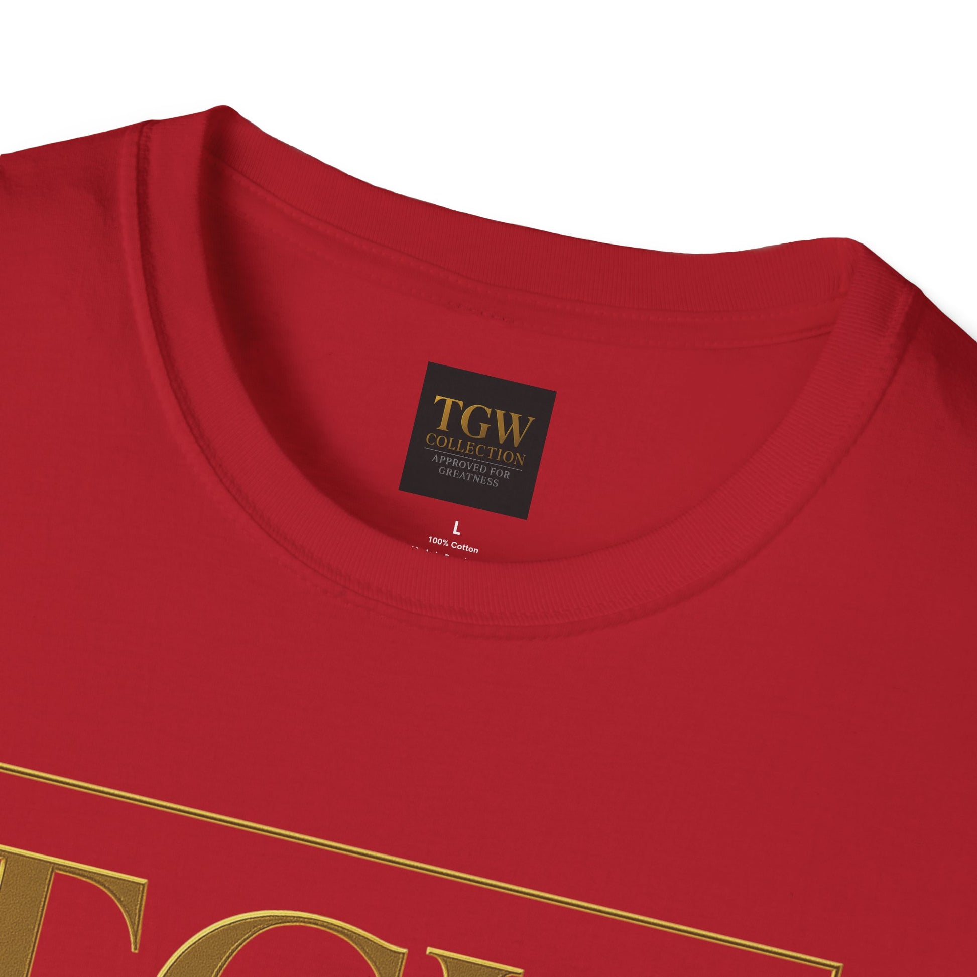 Stylish Soft style T-Shirt, Casual Wear, Gift for Friends, Fashionable Statement Tee, Perfect for Holidays, Everyday Outfit