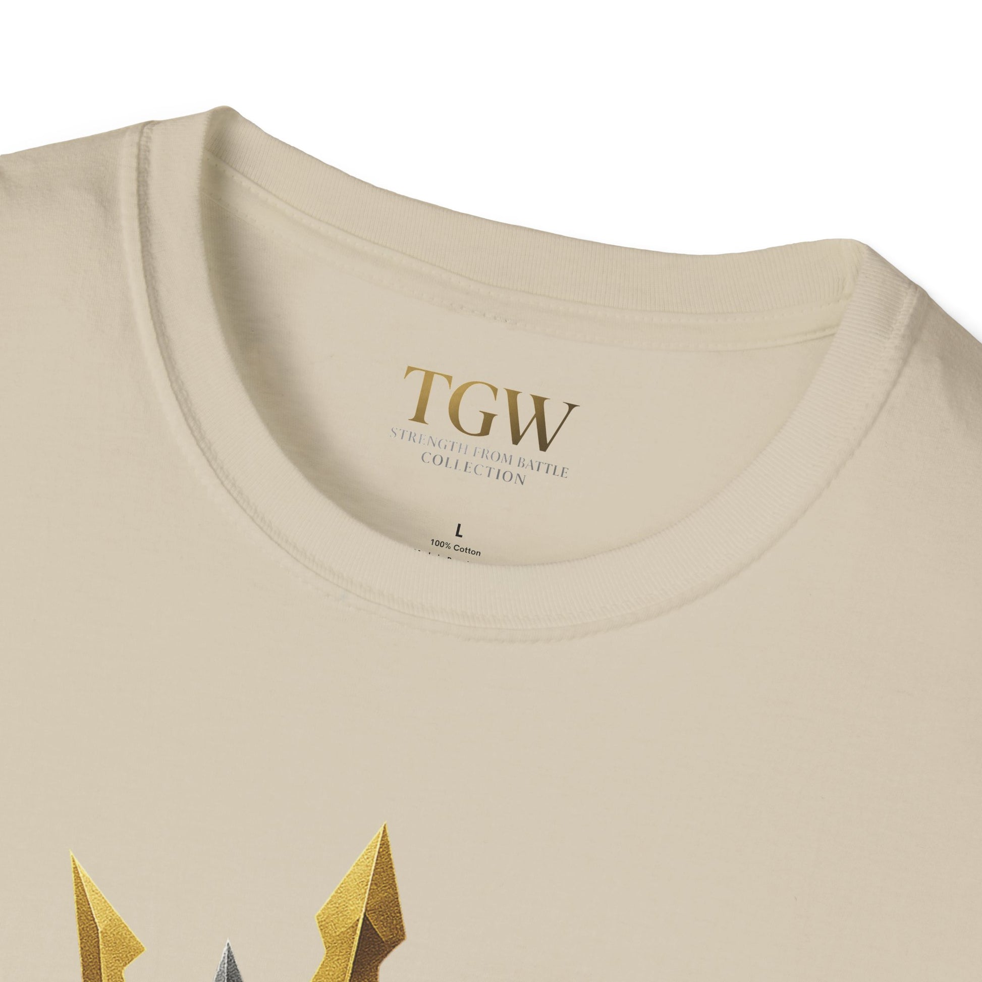 Men Gladiator T-shirt | Motivational Tee, Fitness Shirt, Gift for Him, Empowerment Apparel, Gold Crown Design