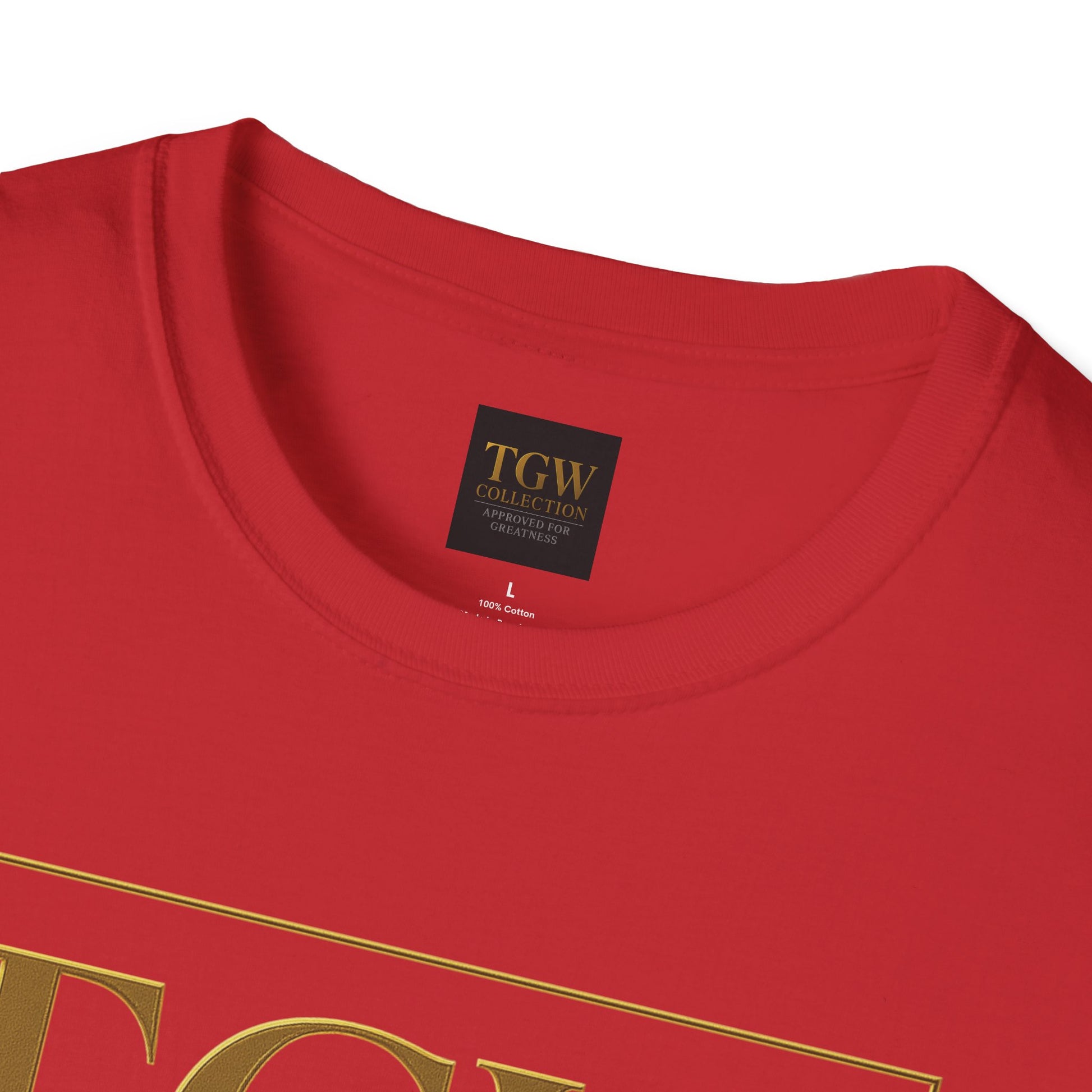 Stylish Soft style T-Shirt, Casual Wear, Gift for Friends, Fashionable Statement Tee, Perfect for Holidays, Everyday Outfit