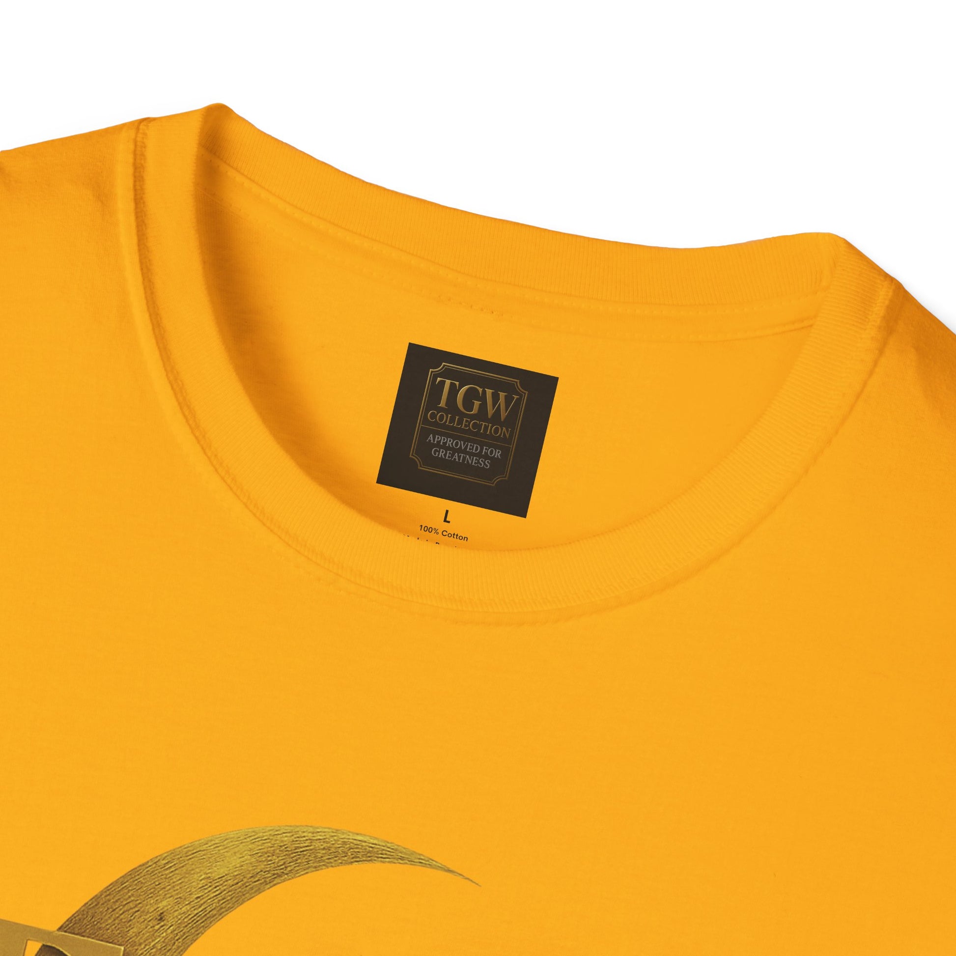 Shine Bright T-Shirt, Graphic Tee, Motivational Gift, Casual Wear, Inspirational Apparel