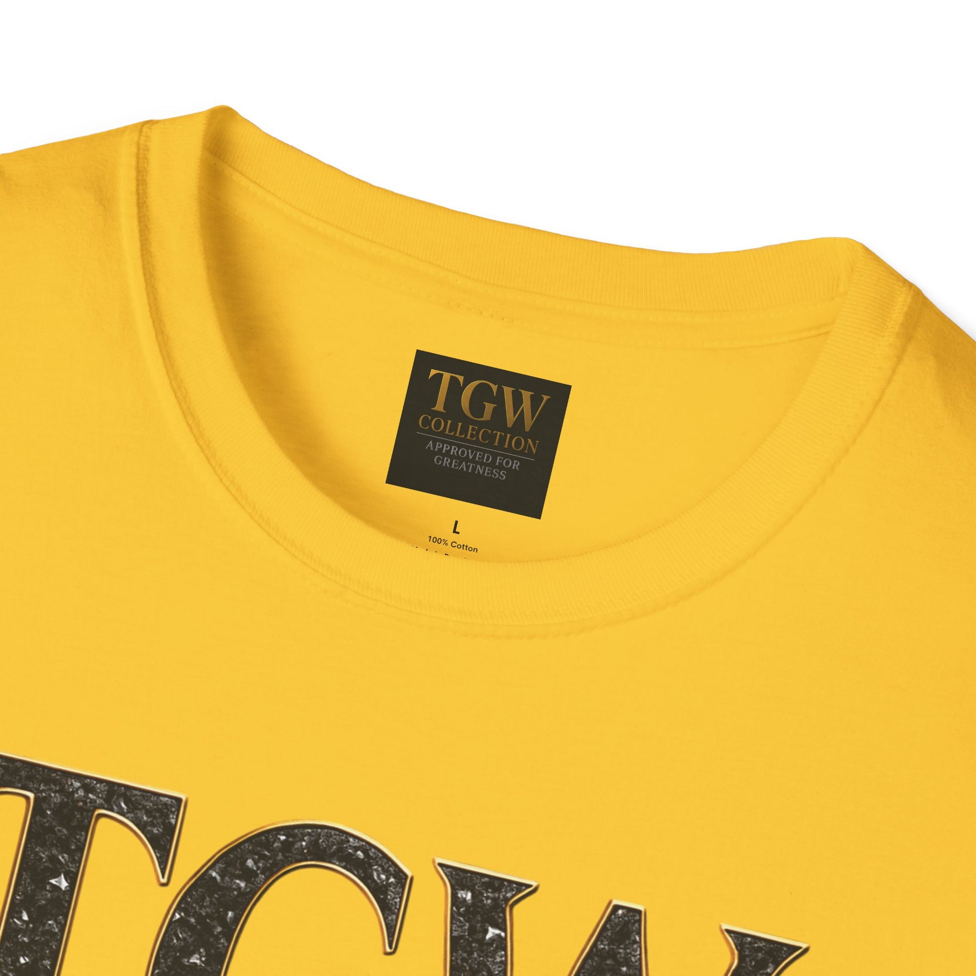 Stylish  Soft style T-Shirt, Casual Wear, Everyday Fashion, TGW Collection Tee
