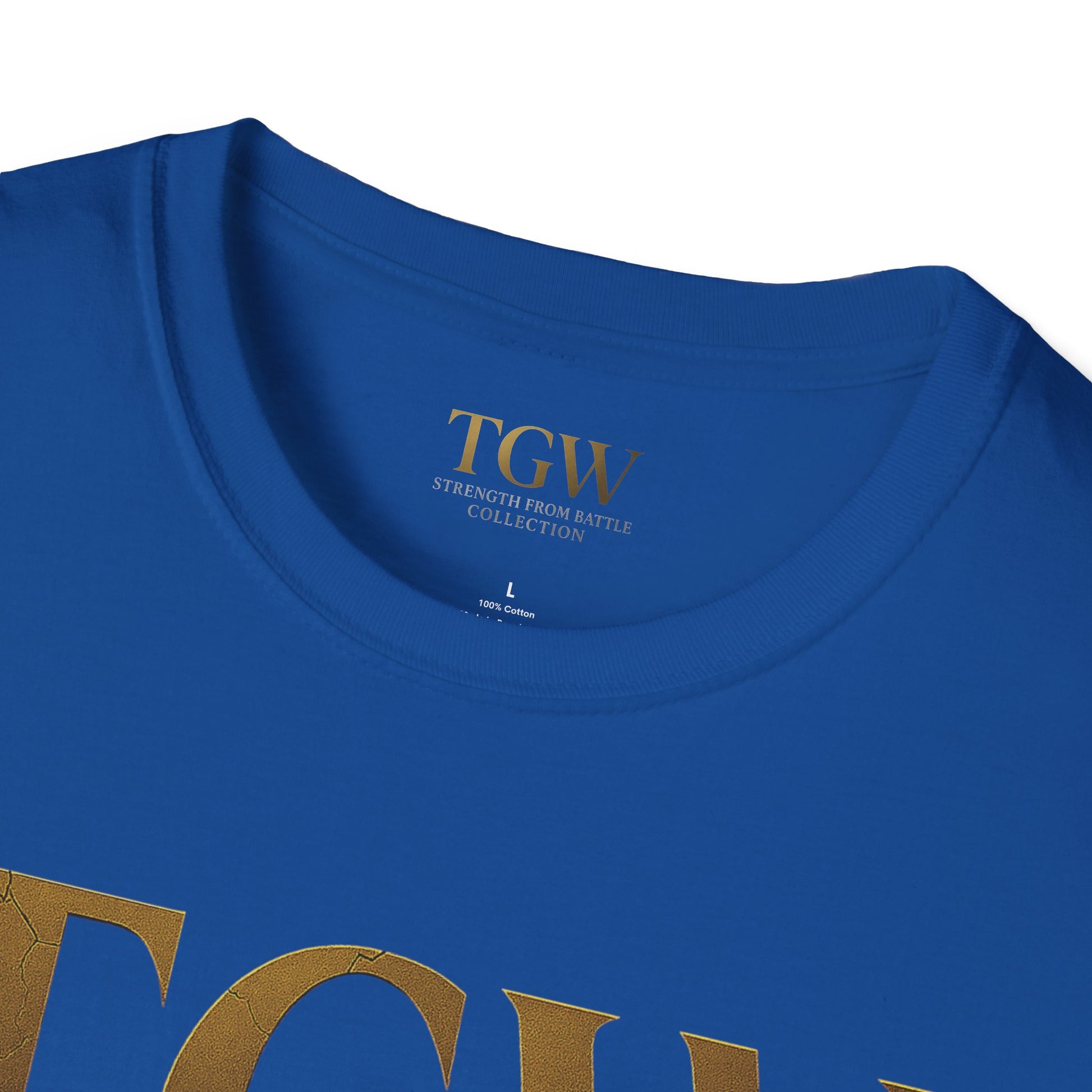 Softstyle T-Shirt - Air Force Honors