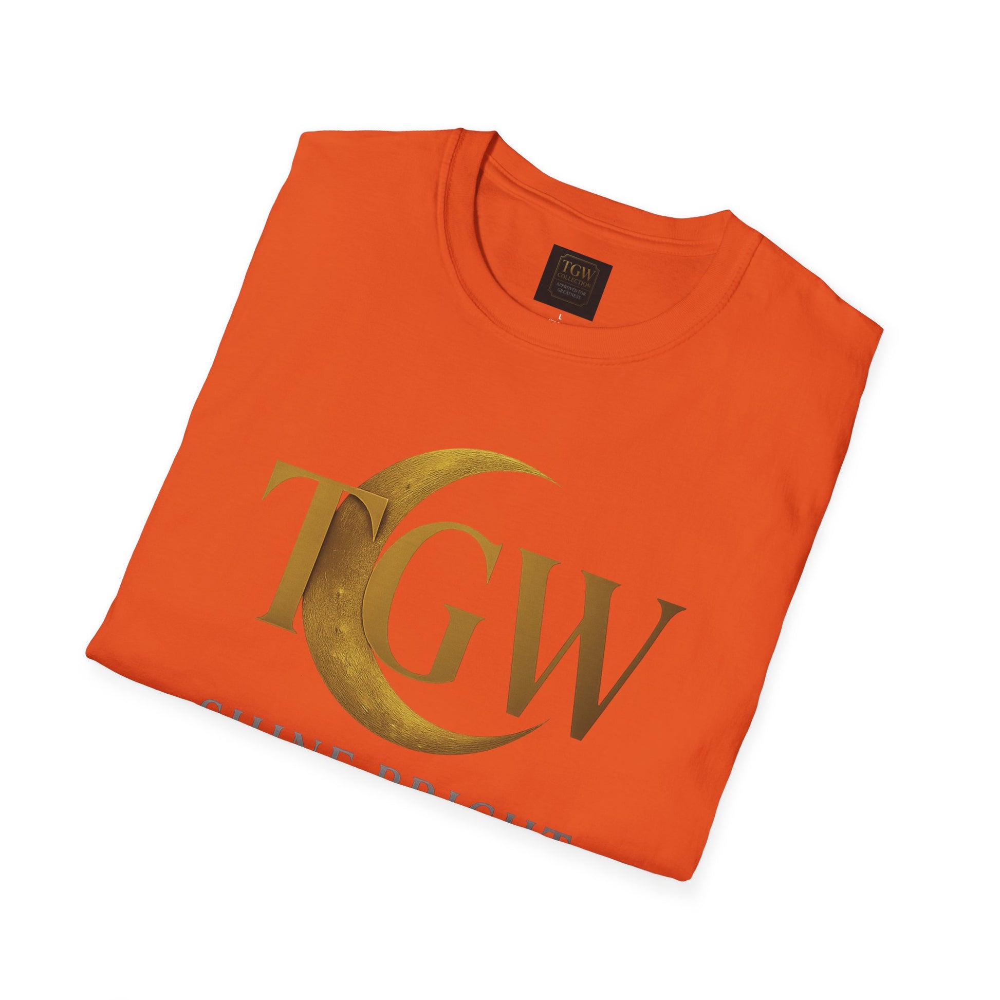 Shine Bright T-Shirt, Graphic Tee, Motivational Gift, Casual Wear, Inspirational Apparel