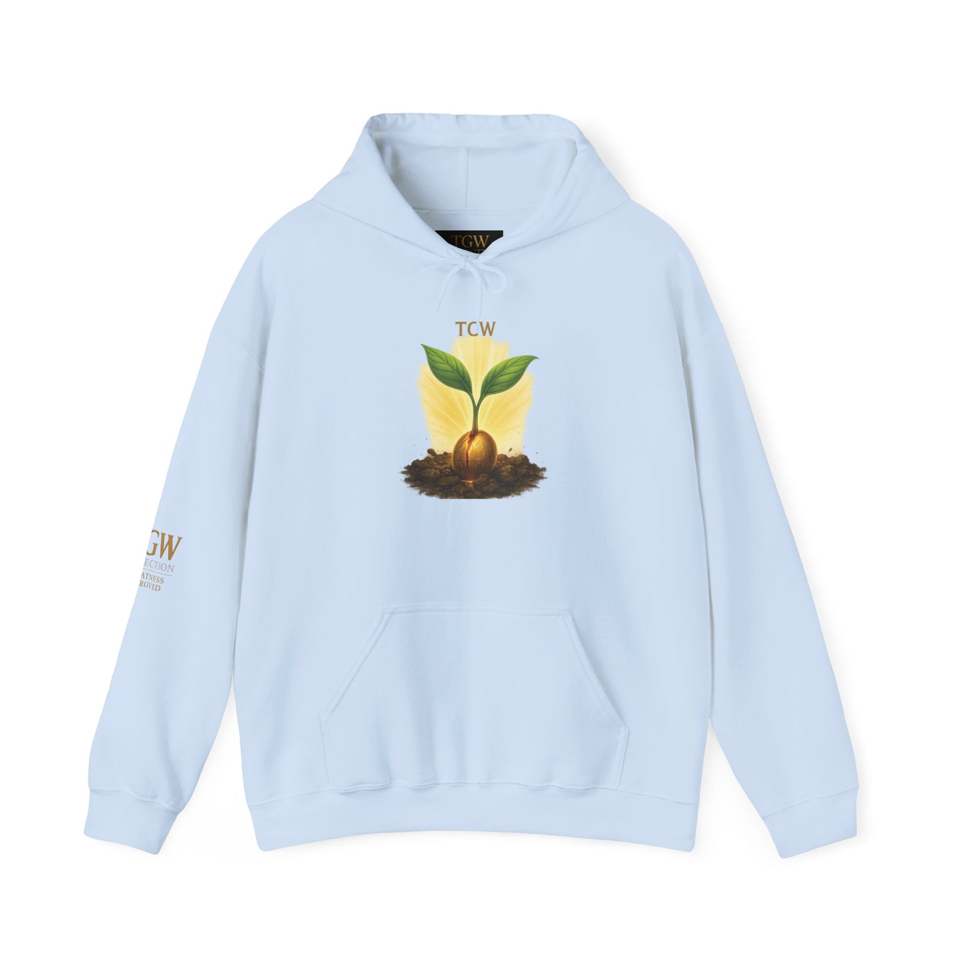 Growth Mindset Hoodie - Heavy Blend™ Sweatshirt