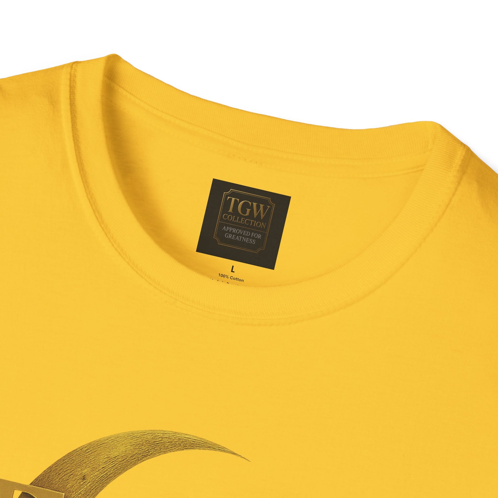 Shine Bright T-Shirt, Graphic Tee, Motivational Gift, Casual Wear, Inspirational Apparel