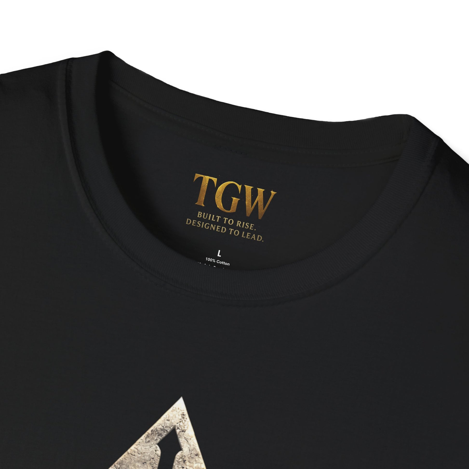 Triangle Shield & Sword (TGW Collection Greatness Approved) Softstyle T-Shirt