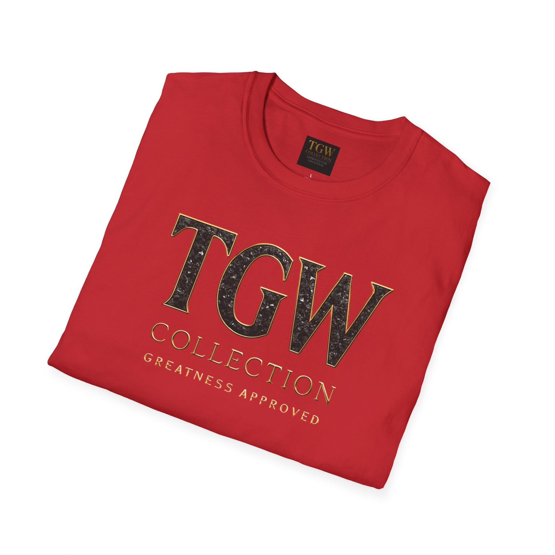 Stylish  Soft style T-Shirt, Casual Wear, Everyday Fashion, TGW Collection Tee