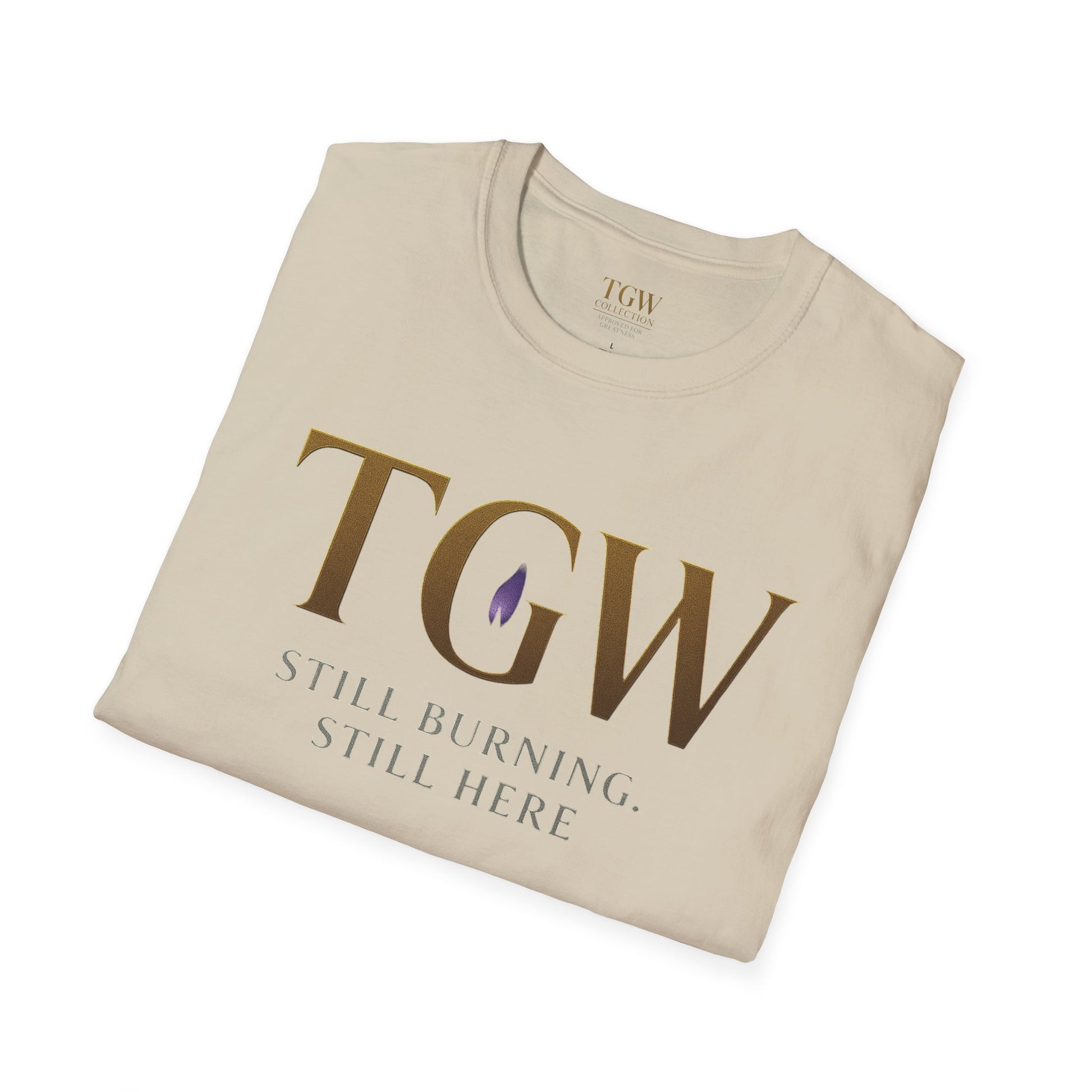 Stylish Motivational T-Shirt, Inspirational Apparel, Gift for Her, Casual Wear, Positive Affirmations Tee Gift
