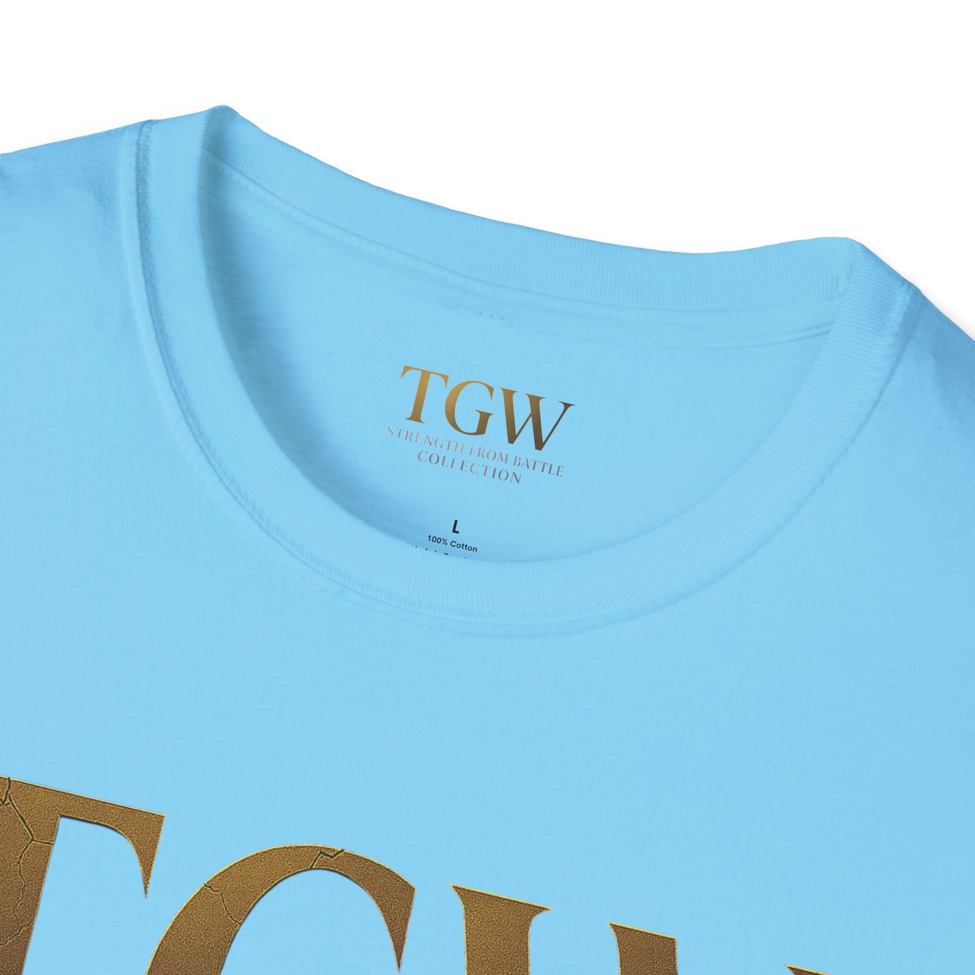Softstyle T-Shirt - Air Force Honors