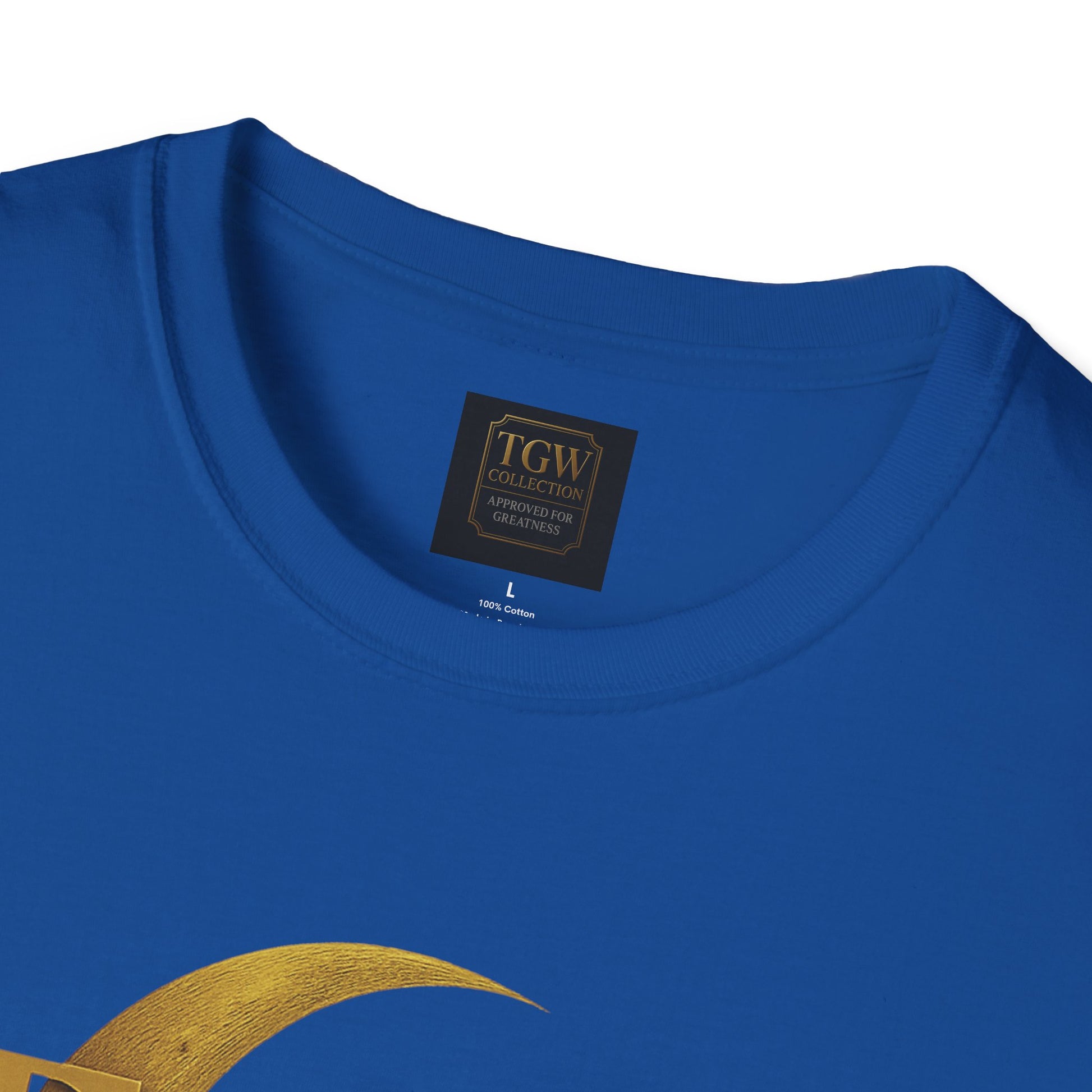 Shine Bright T-Shirt, Graphic Tee, Motivational Gift, Casual Wear, Inspirational Apparel