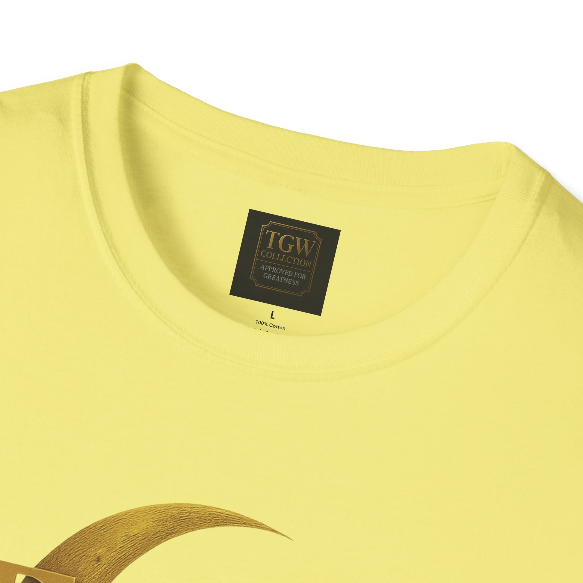 Shine Bright T-Shirt, Graphic Tee, Motivational Gift, Casual Wear, Inspirational Apparel