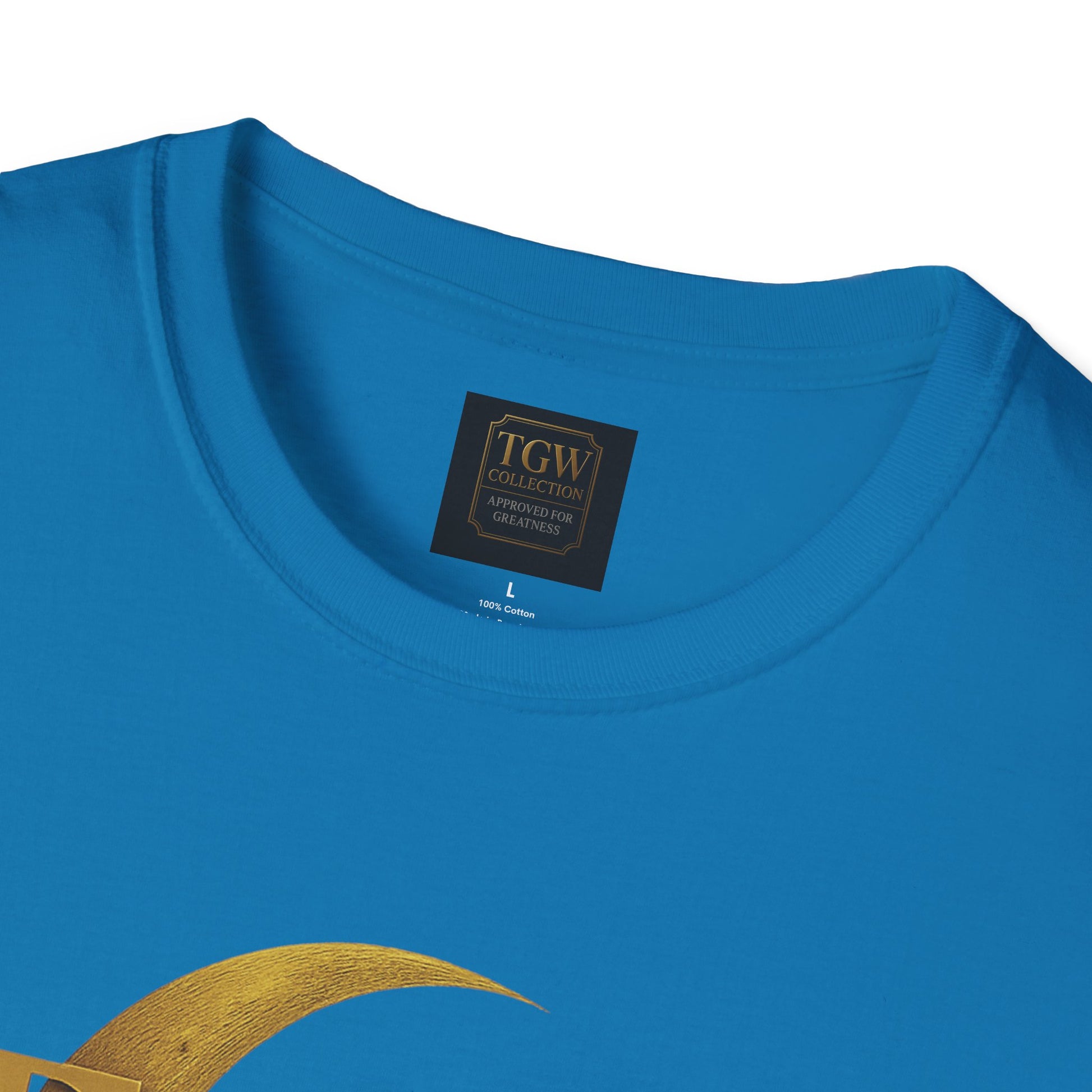 Shine Bright T-Shirt, Graphic Tee, Motivational Gift, Casual Wear, Inspirational Apparel