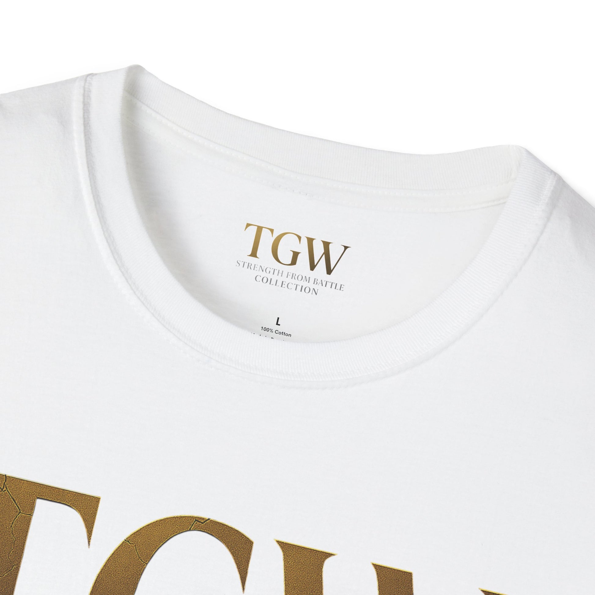 Softstyle T-Shirt - Air Force Honors
