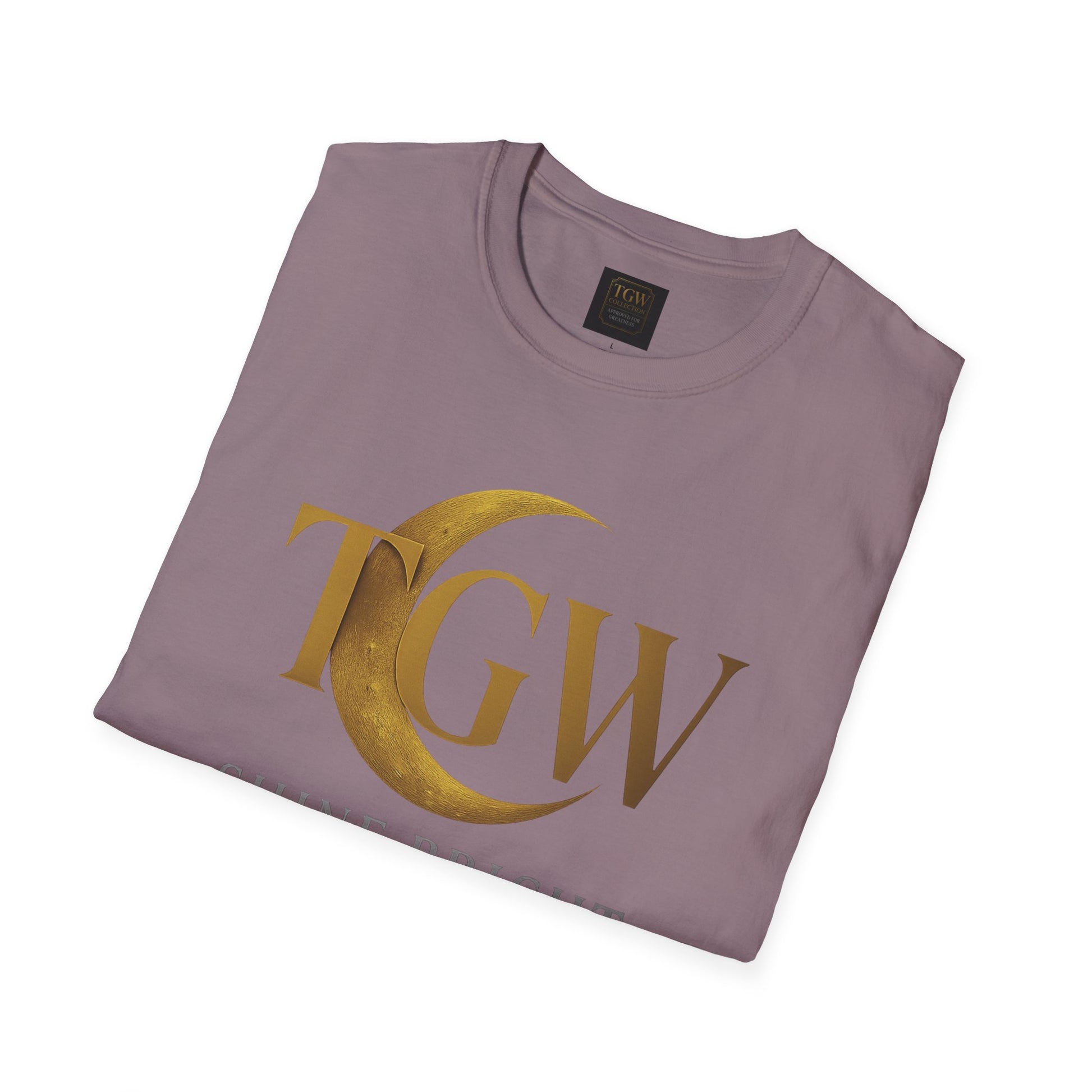 Shine Bright T-Shirt, Graphic Tee, Motivational Gift, Casual Wear, Inspirational Apparel