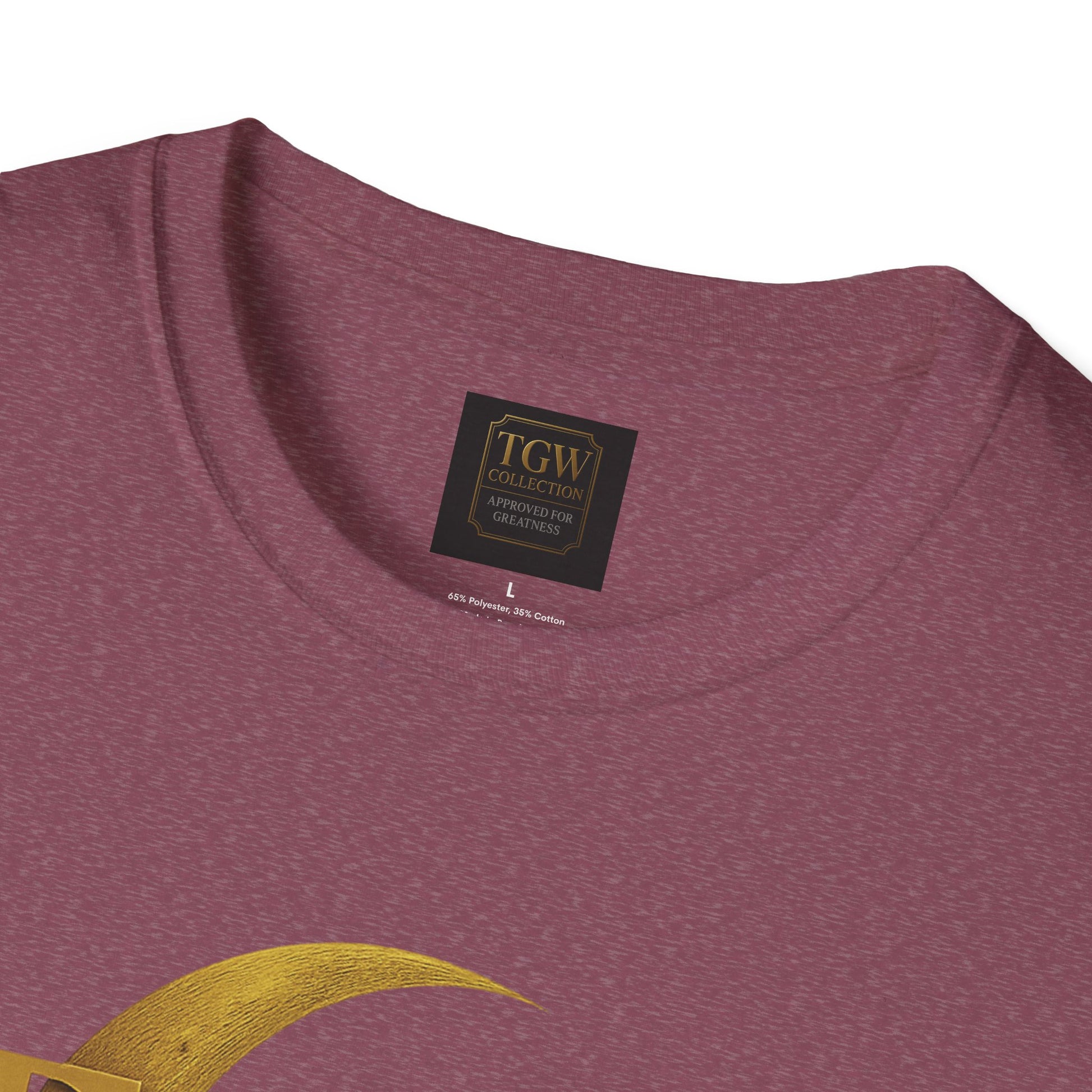 Shine Bright T-Shirt, Graphic Tee, Motivational Gift, Casual Wear, Inspirational Apparel