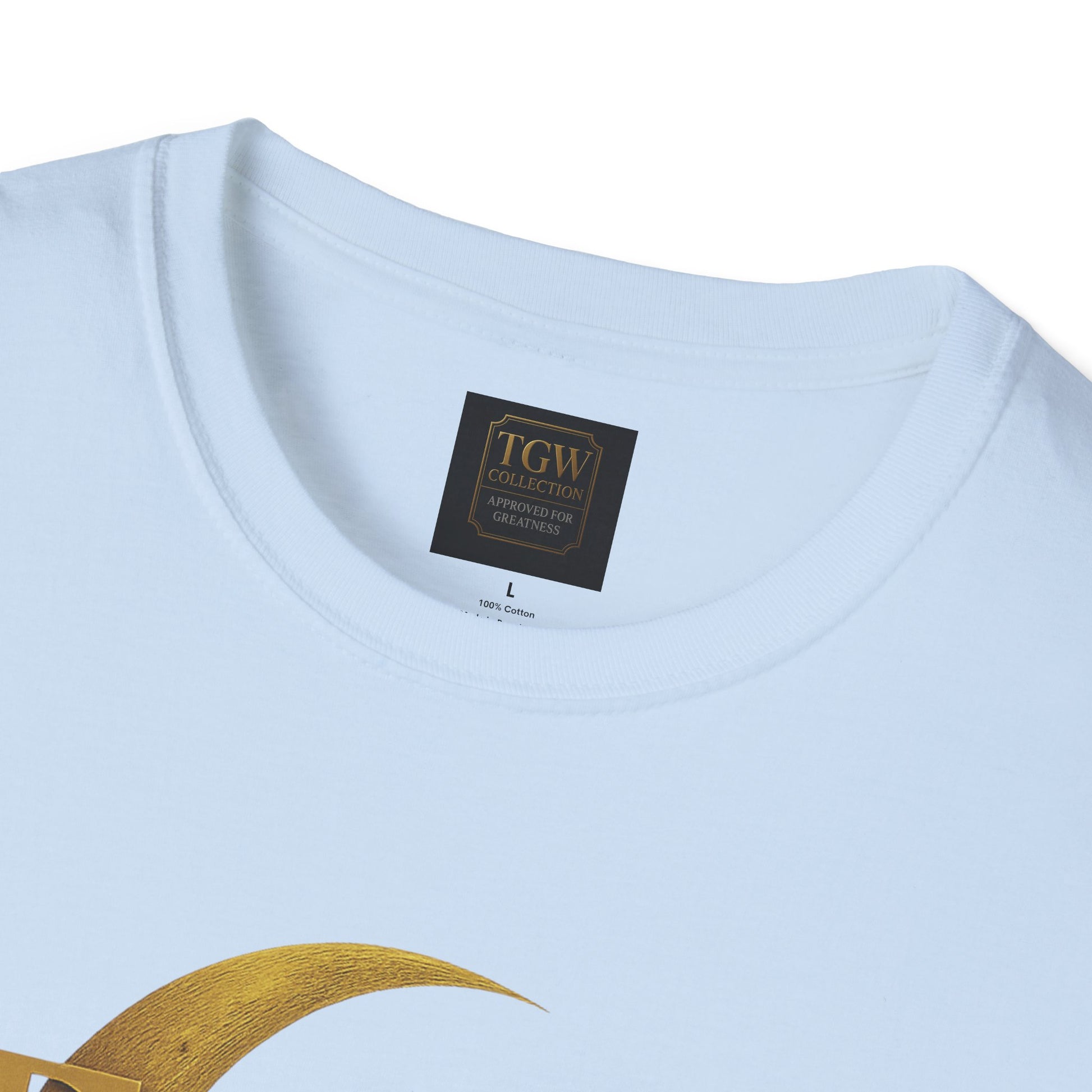 Shine Bright T-Shirt, Graphic Tee, Motivational Gift, Casual Wear, Inspirational Apparel