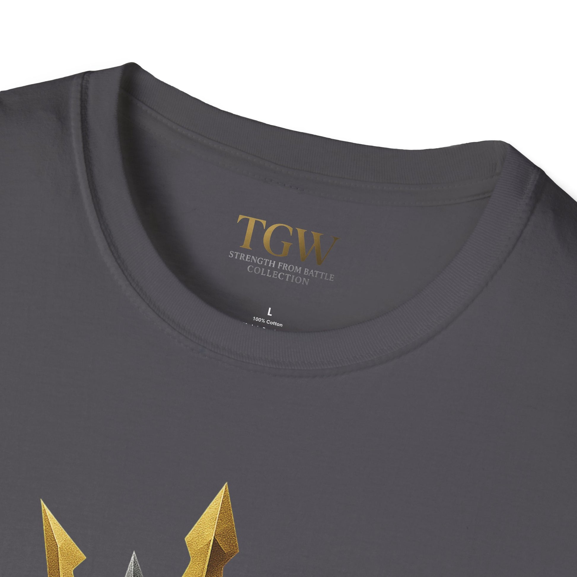 Men Gladiator T-shirt | Motivational Tee, Fitness Shirt, Gift for Him, Empowerment Apparel, Gold Crown Design