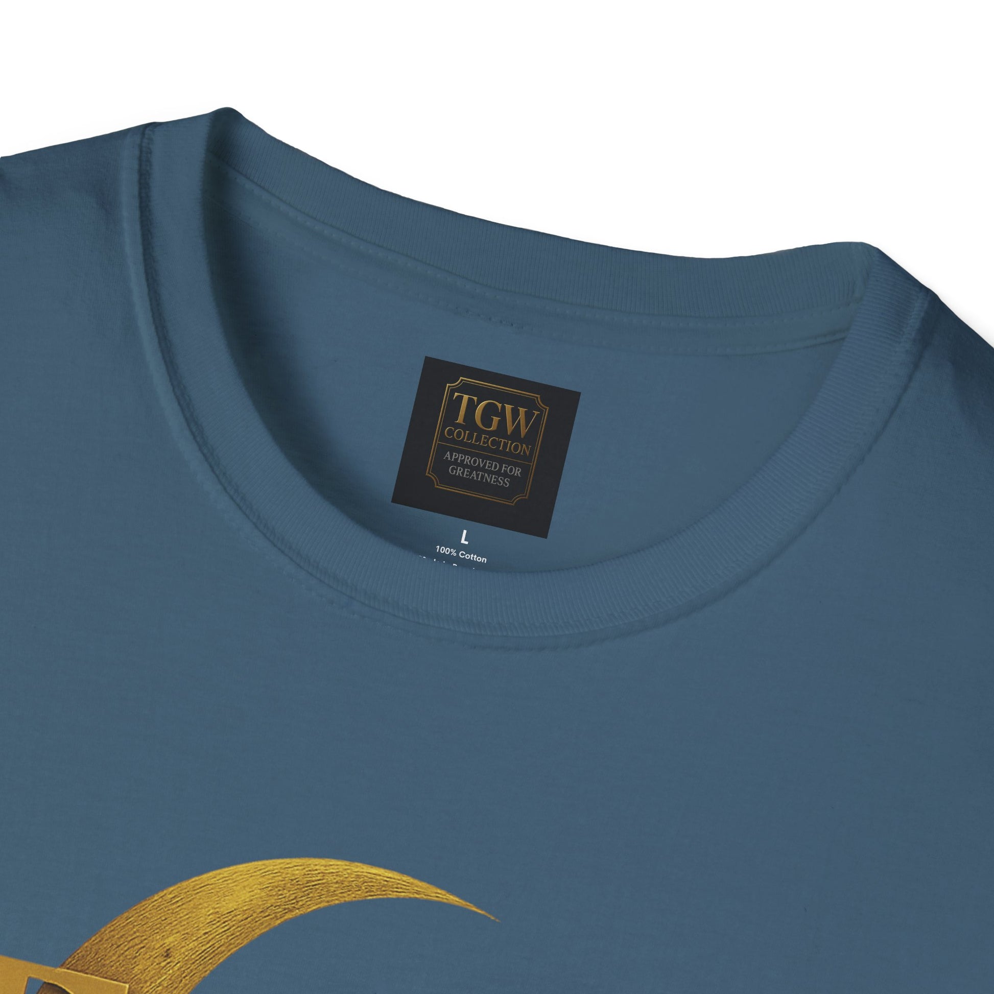 Shine Bright T-Shirt, Graphic Tee, Motivational Gift, Casual Wear, Inspirational Apparel