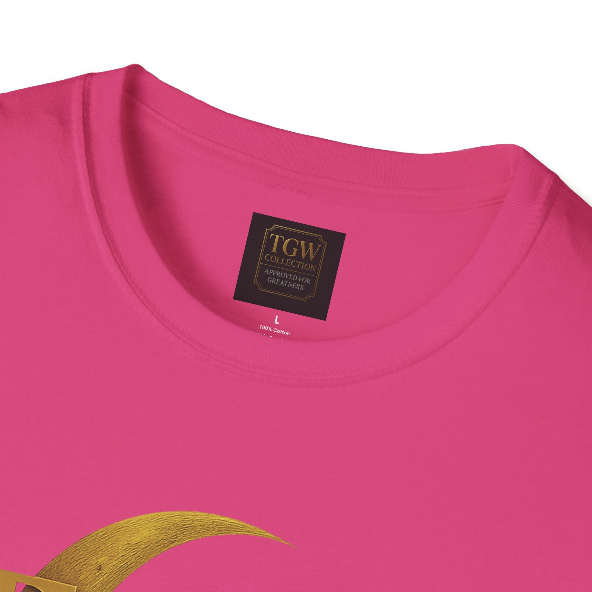 Shine Bright T-Shirt, Graphic Tee, Motivational Gift, Casual Wear, Inspirational Apparel