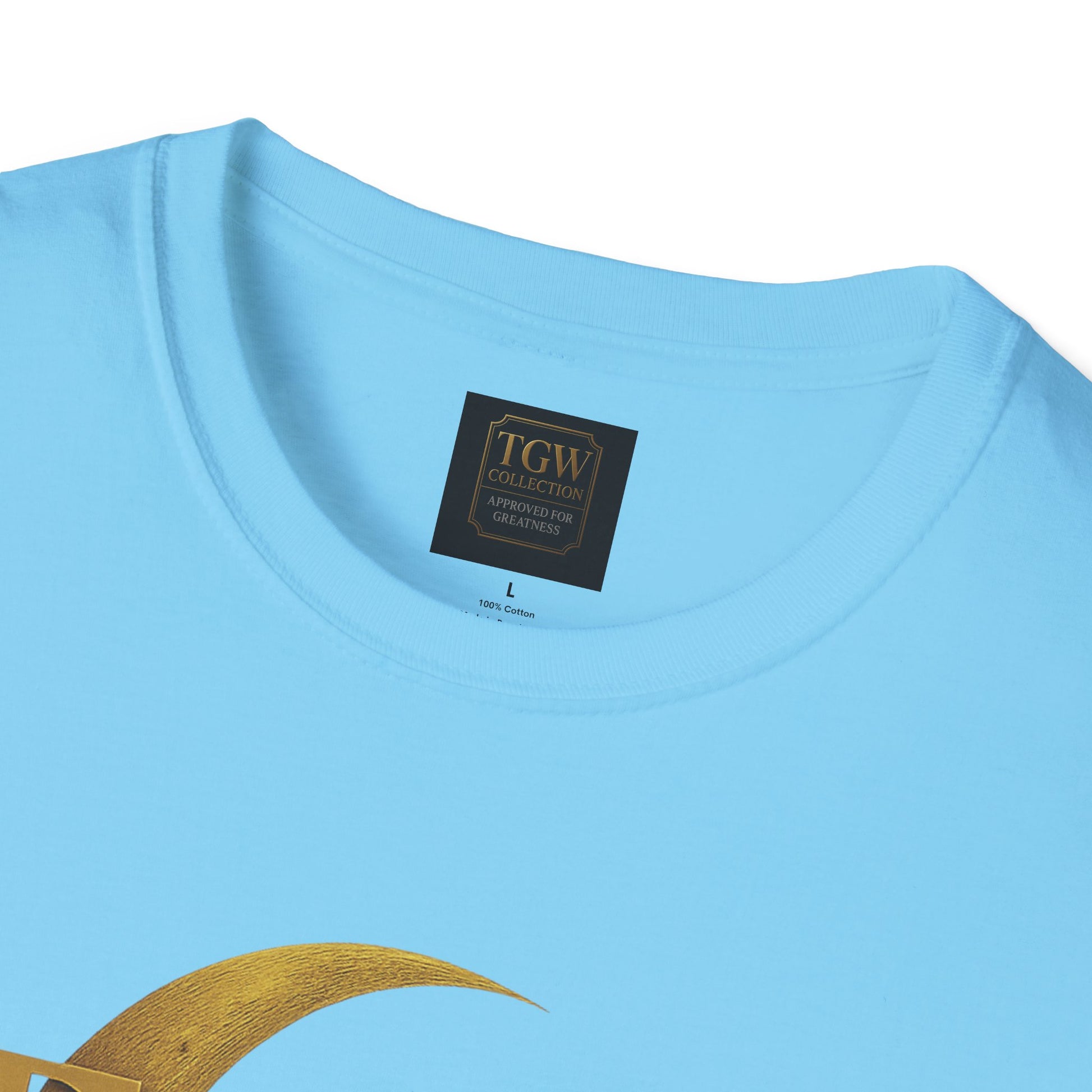 Shine Bright T-Shirt, Graphic Tee, Motivational Gift, Casual Wear, Inspirational Apparel