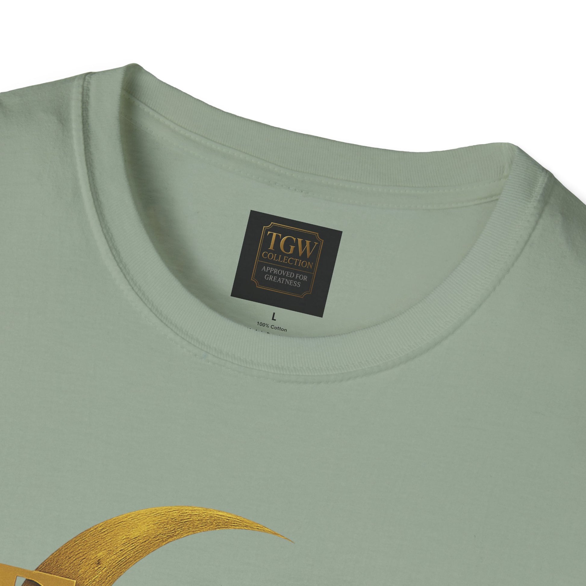 Shine Bright T-Shirt, Graphic Tee, Motivational Gift, Casual Wear, Inspirational Apparel