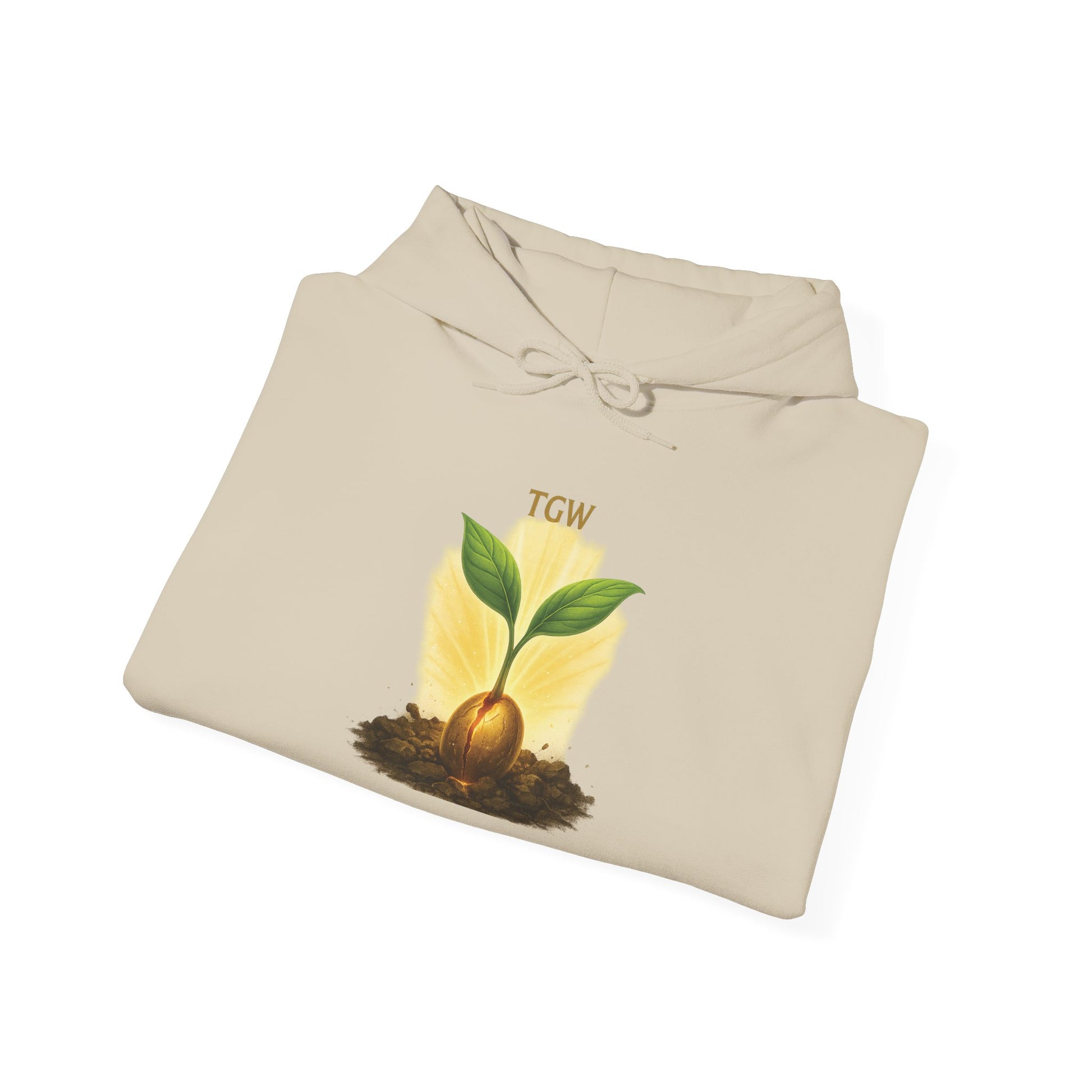 Growth Mindset Hoodie - Heavy Blend™ Sweatshirt