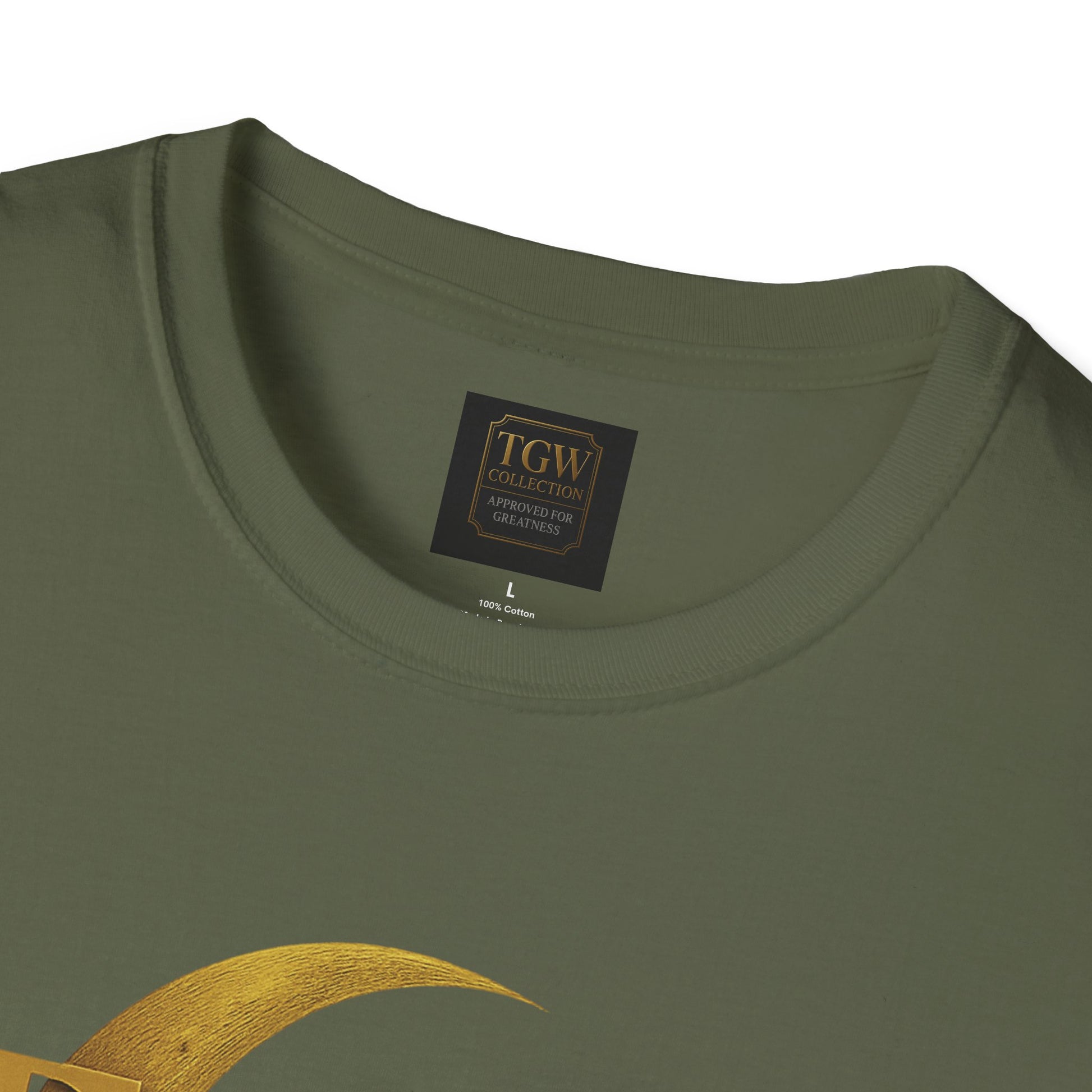 Shine Bright T-Shirt, Graphic Tee, Motivational Gift, Casual Wear, Inspirational Apparel