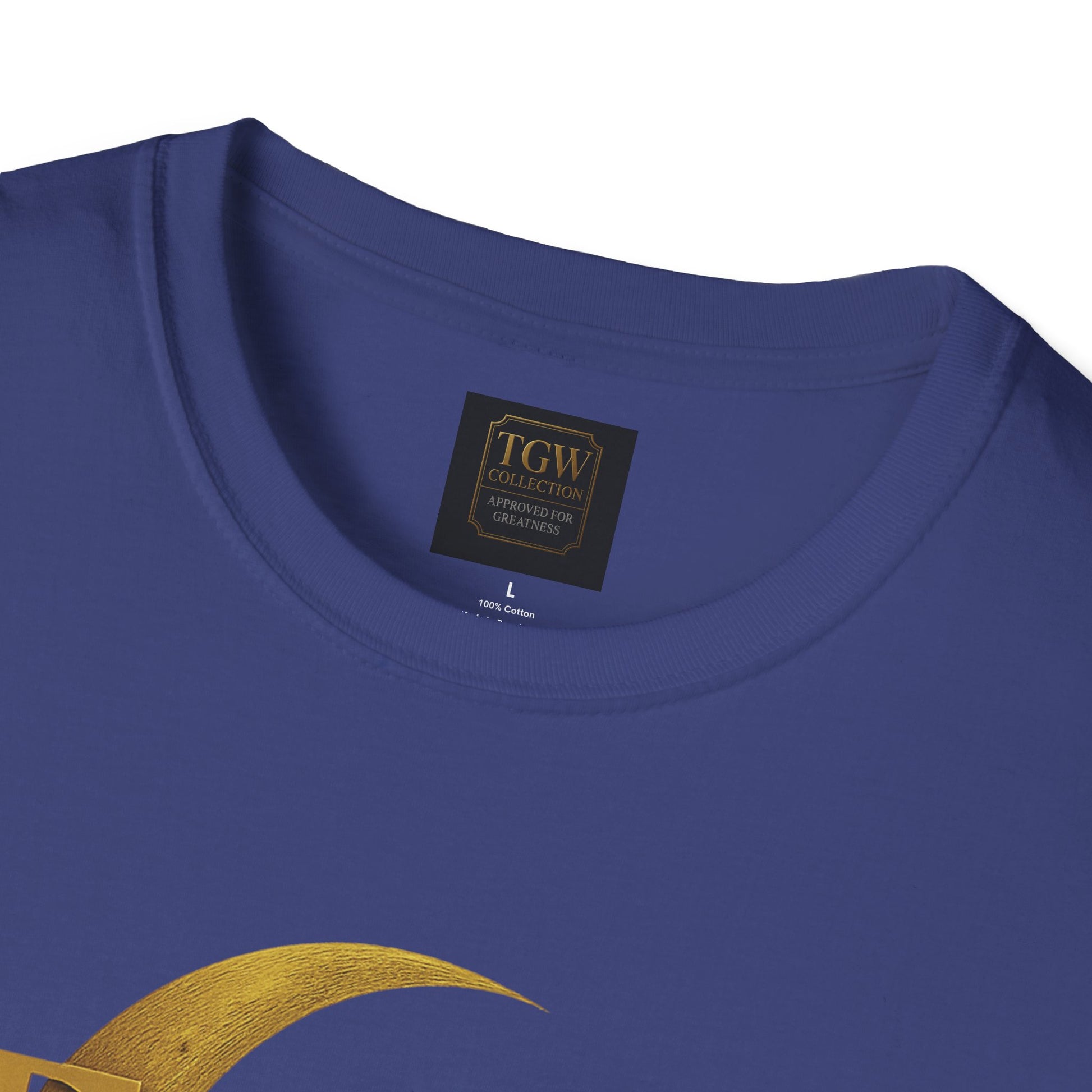Shine Bright T-Shirt, Graphic Tee, Motivational Gift, Casual Wear, Inspirational Apparel