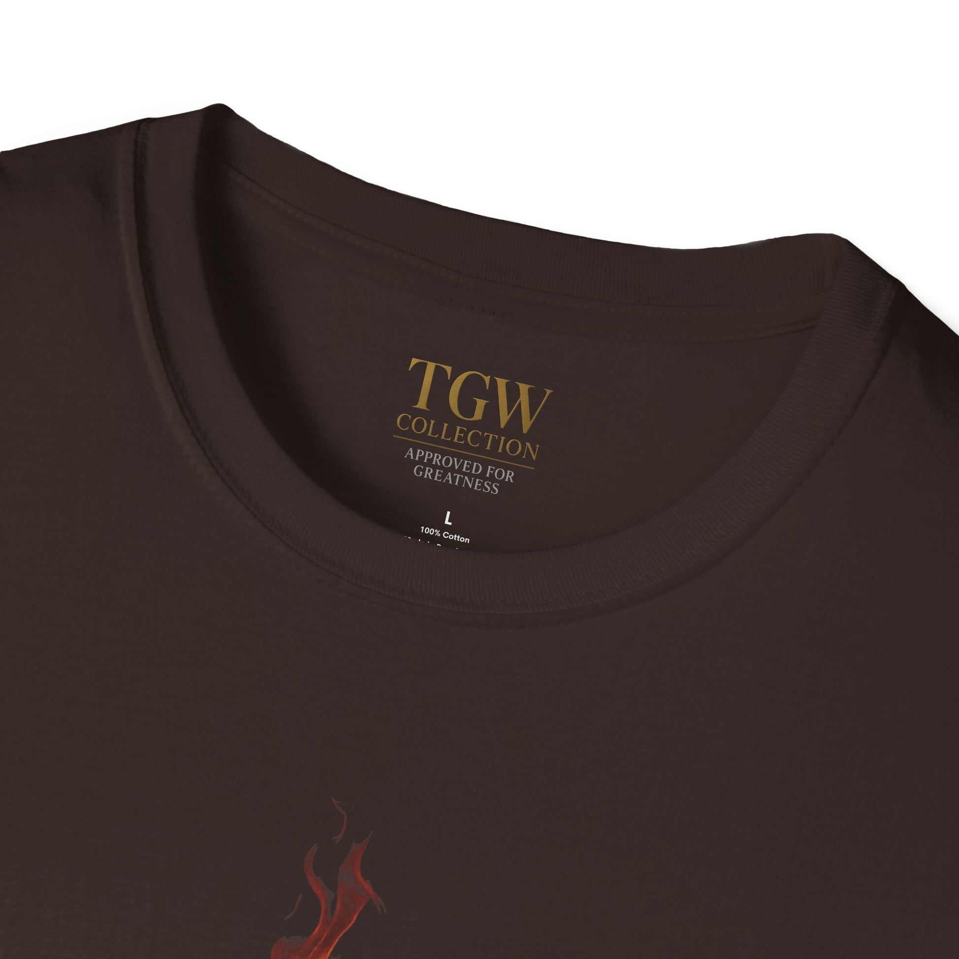 Stylish Fire-Inspired Graphic Tee for Every Occasion, Casual Wear, Summer Outfit, Graphic T-Shirt