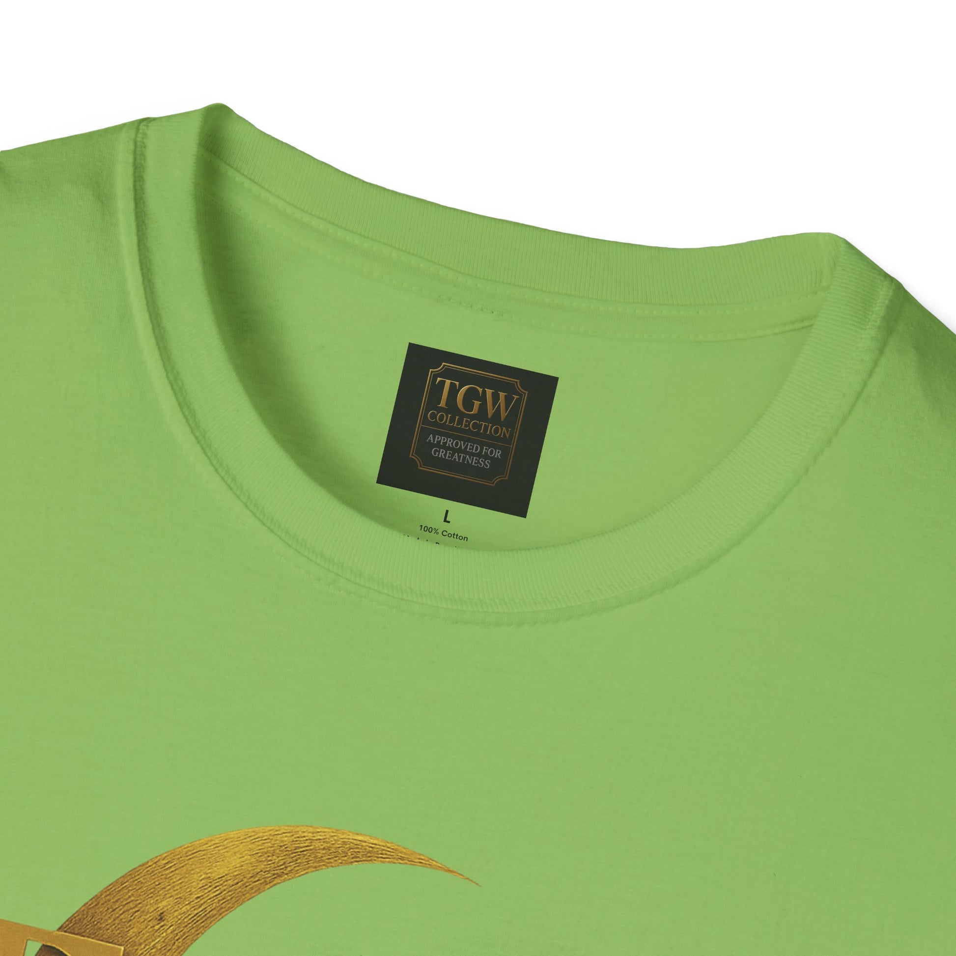 Shine Bright T-Shirt, Graphic Tee, Motivational Gift, Casual Wear, Inspirational Apparel