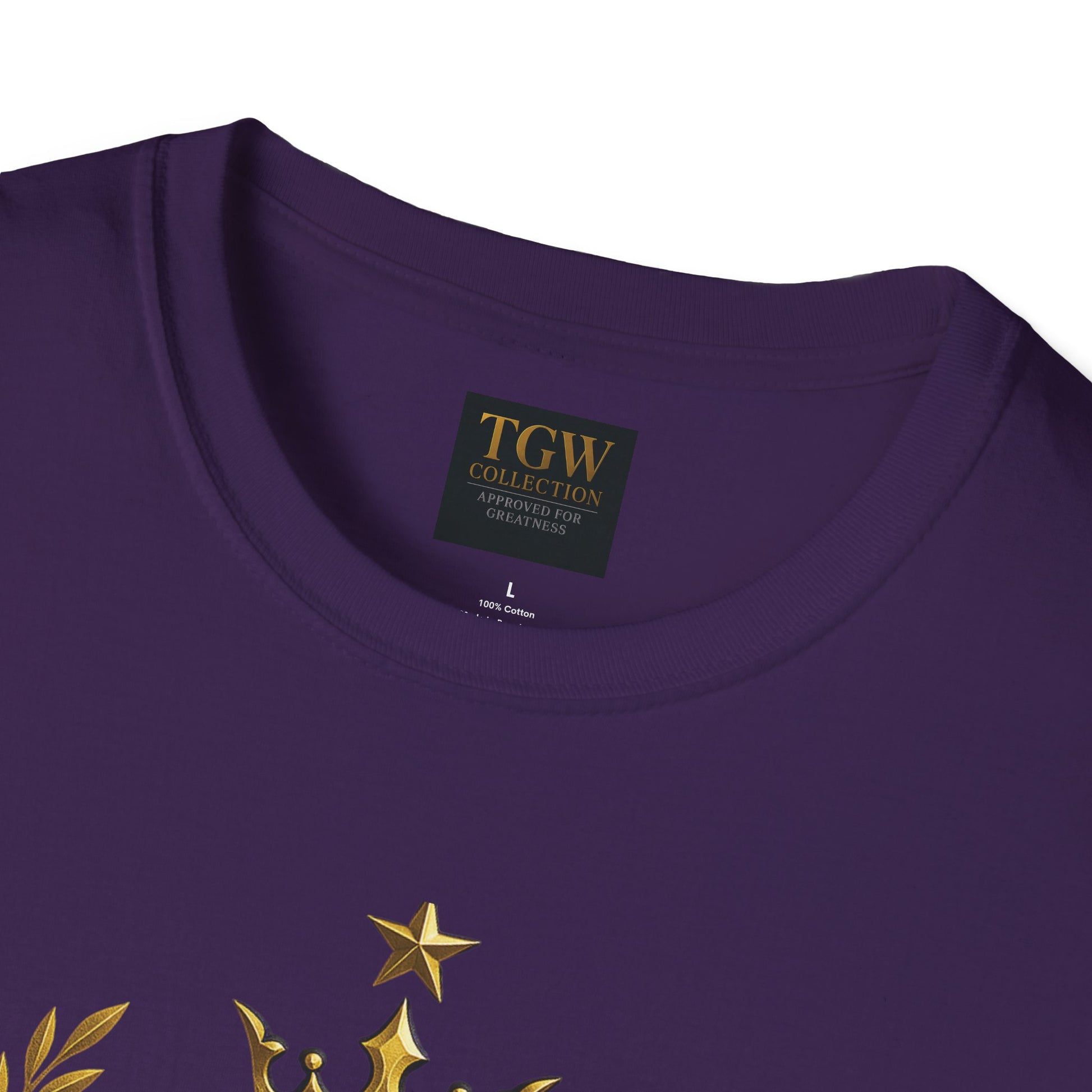 Inspirational T-Shirt - Born for Greatness, Motivational Tee, Gift for Achievers, Casual Wear, Everyday Comfort
