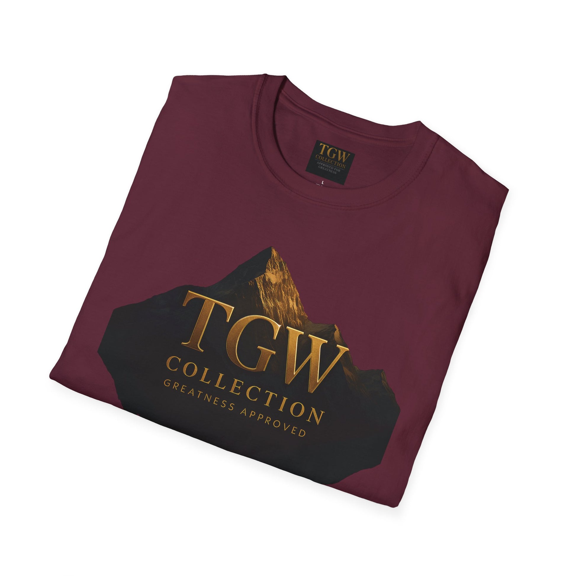 Stylish Mountain Graphic T-Shirt, Adventure Tee, Casual Wear, Apparel, Gift for Nature Lovers
