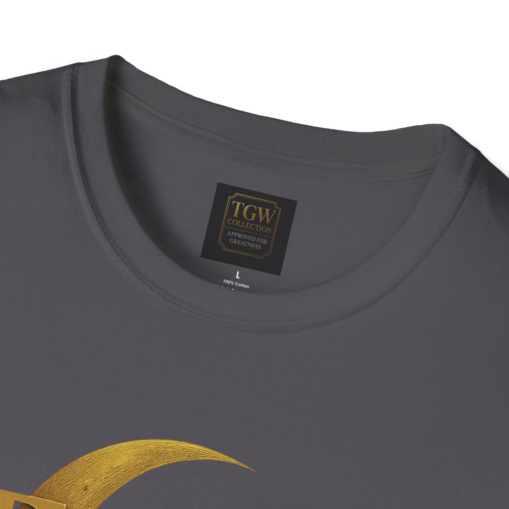 Shine Bright T-Shirt, Graphic Tee, Motivational Gift, Casual Wear, Inspirational Apparel
