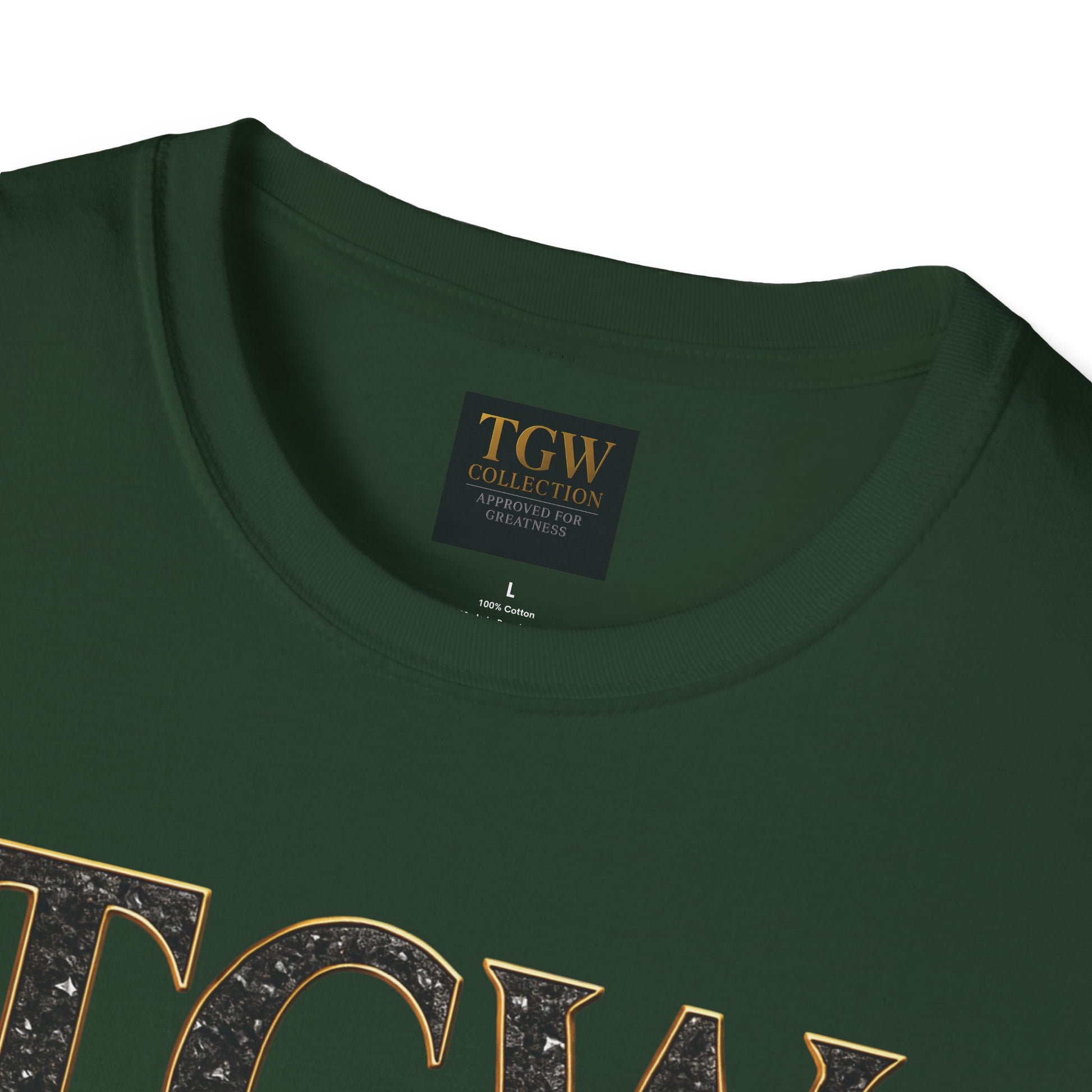 Stylish  Soft style T-Shirt, Casual Wear, Everyday Fashion, TGW Collection Tee