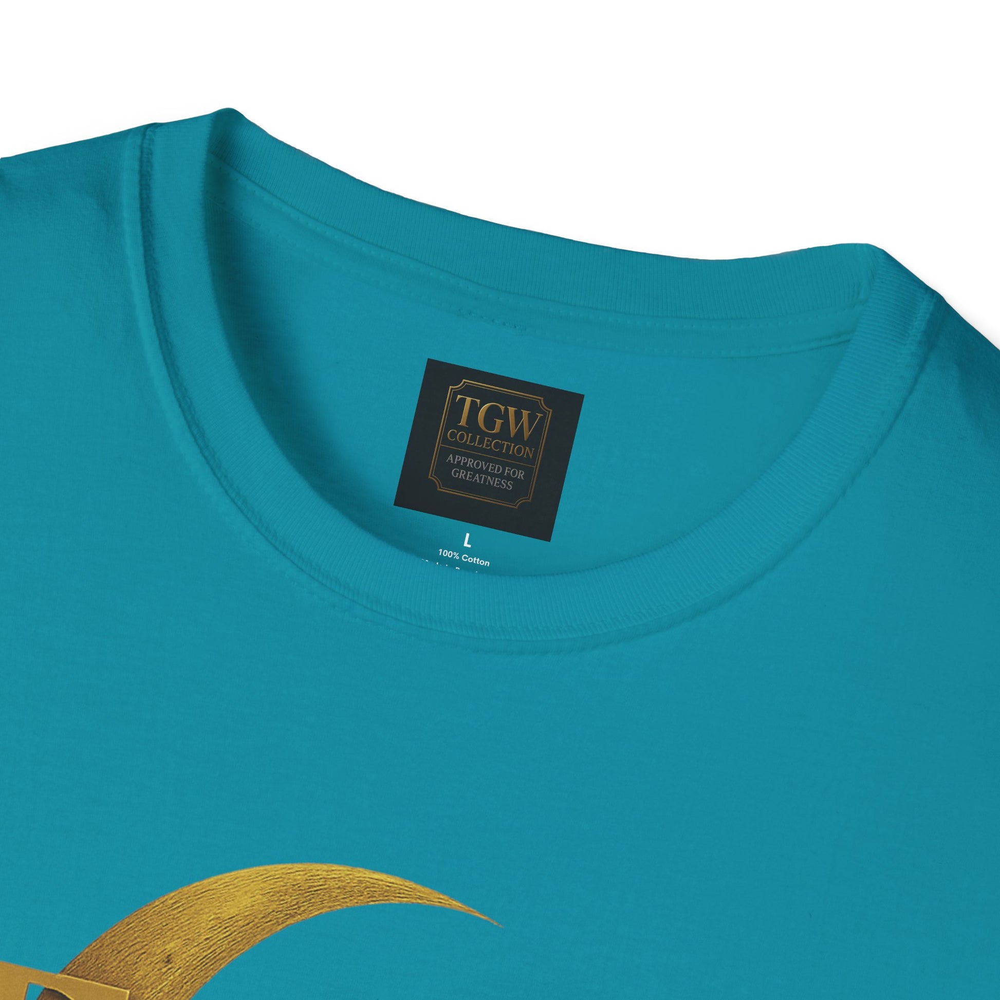 Shine Bright T-Shirt, Graphic Tee, Motivational Gift, Casual Wear, Inspirational Apparel