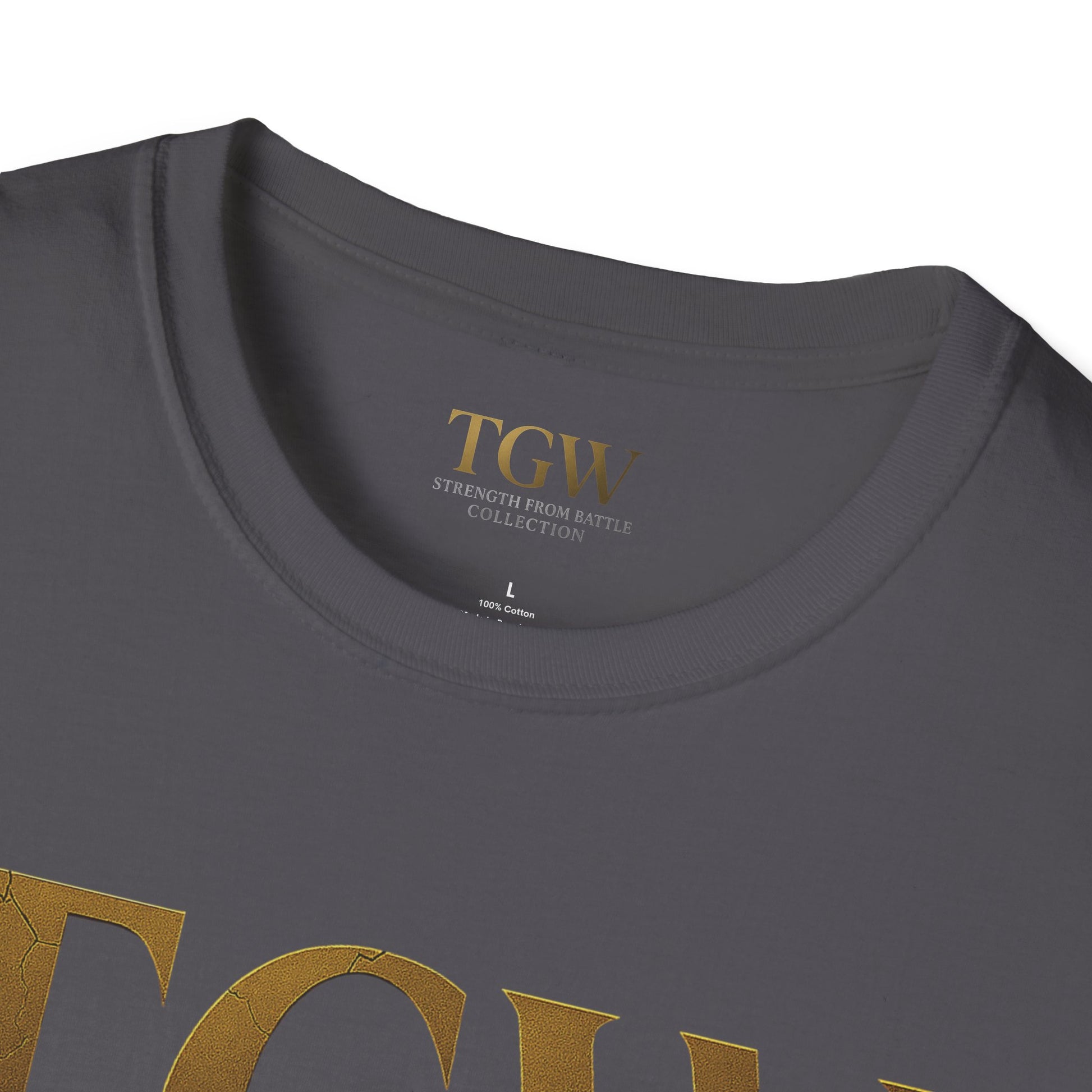 Softstyle T-Shirt - Air Force Honors