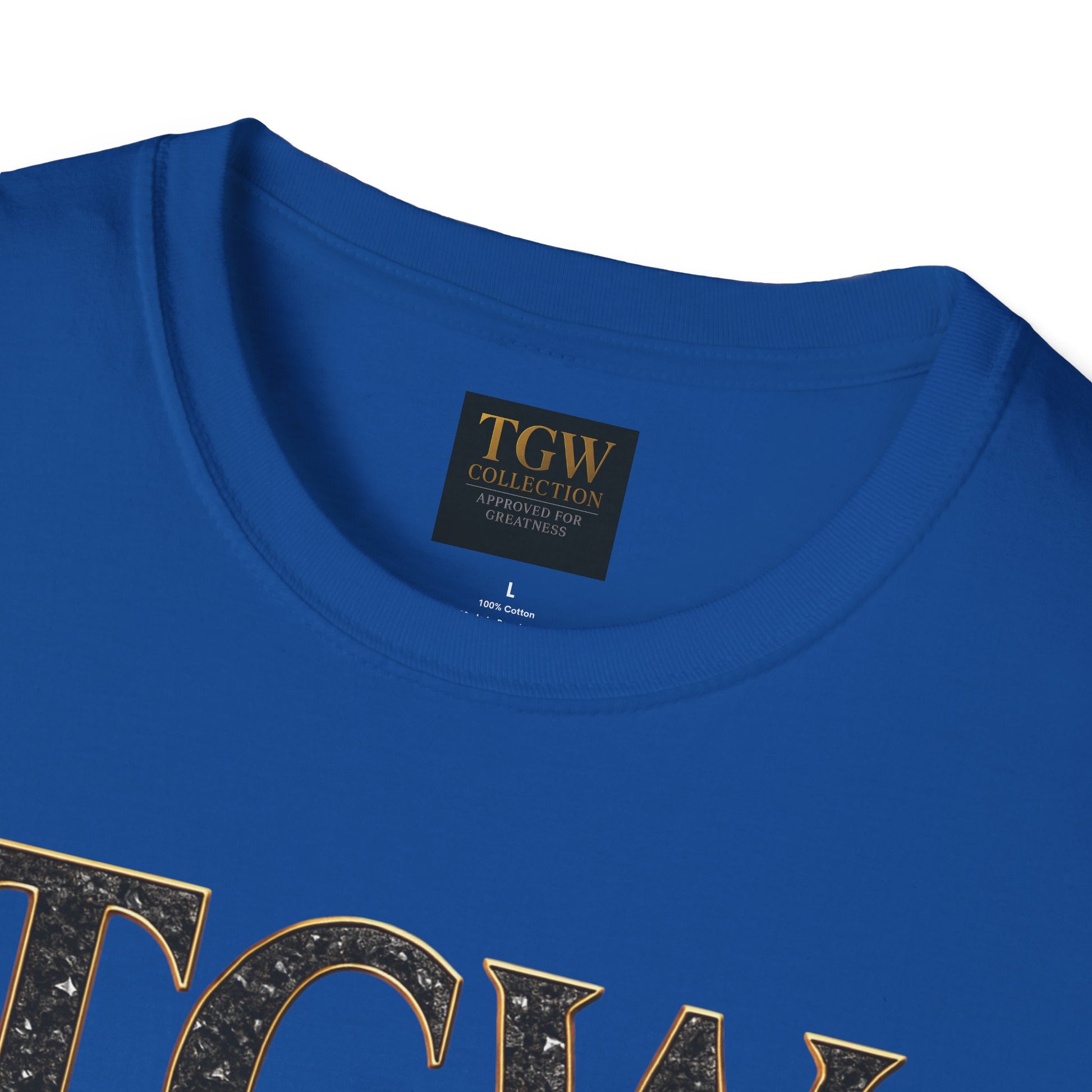 Stylish  Soft style T-Shirt, Casual Wear, Everyday Fashion, TGW Collection Tee