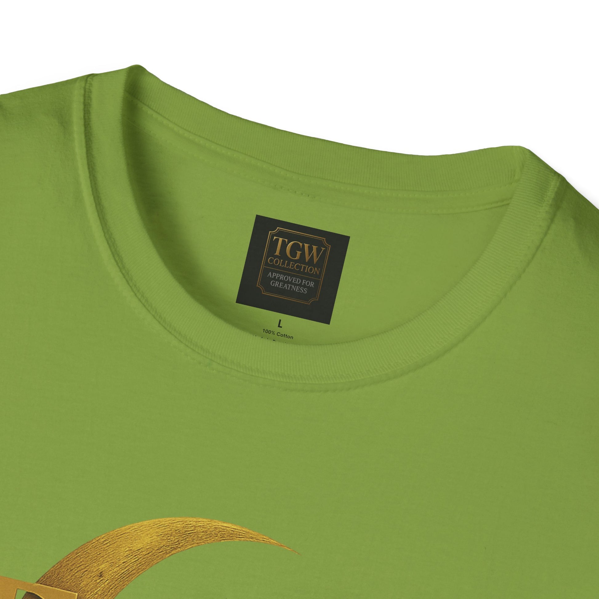 Shine Bright T-Shirt, Graphic Tee, Motivational Gift, Casual Wear, Inspirational Apparel