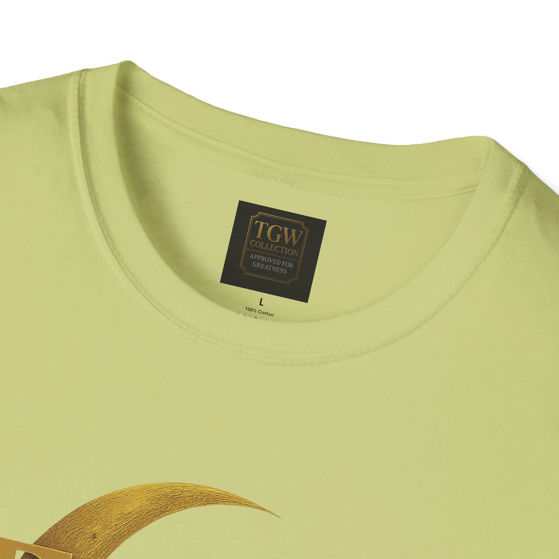 Shine Bright T-Shirt, Graphic Tee, Motivational Gift, Casual Wear, Inspirational Apparel