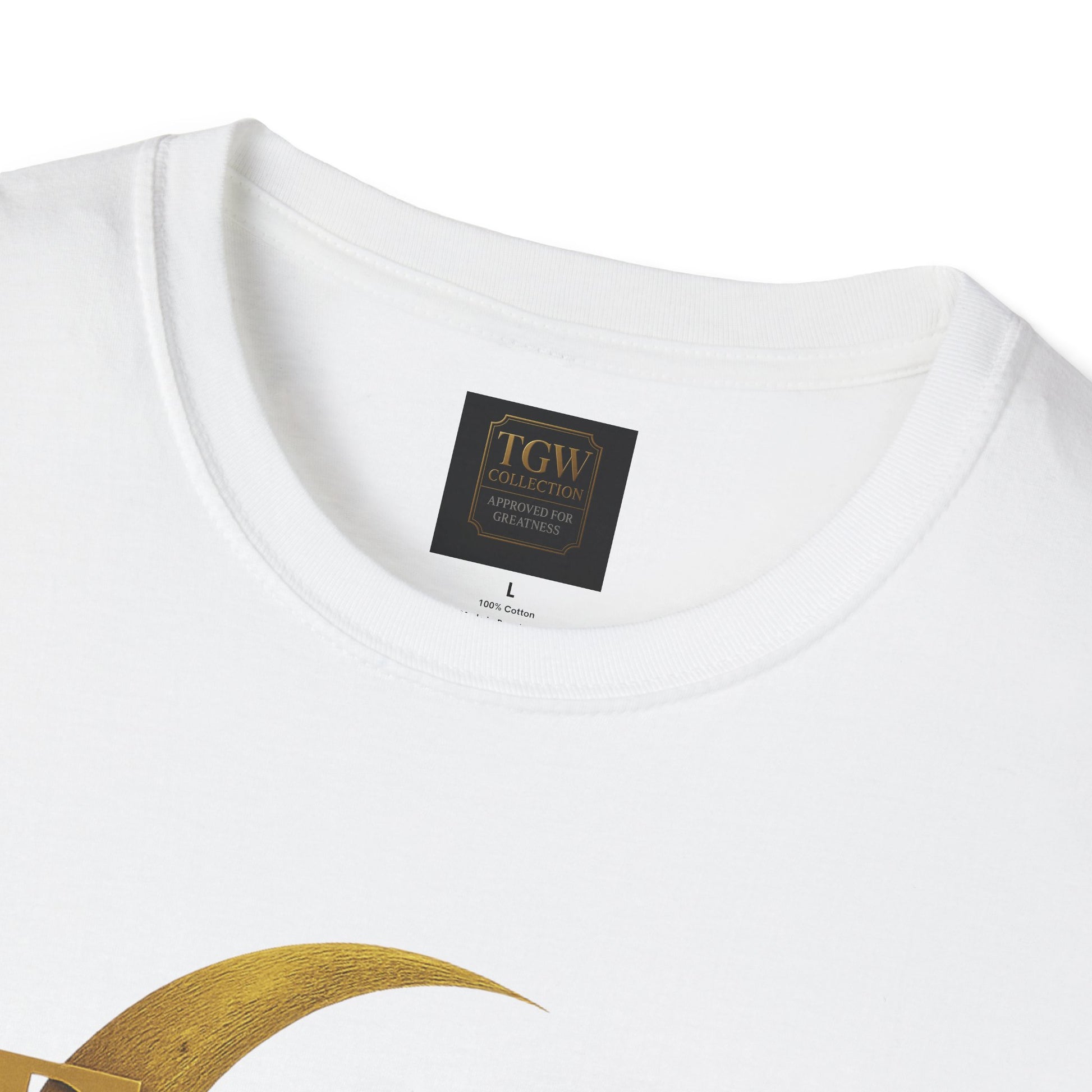 Shine Bright T-Shirt, Graphic Tee, Motivational Gift, Casual Wear, Inspirational Apparel