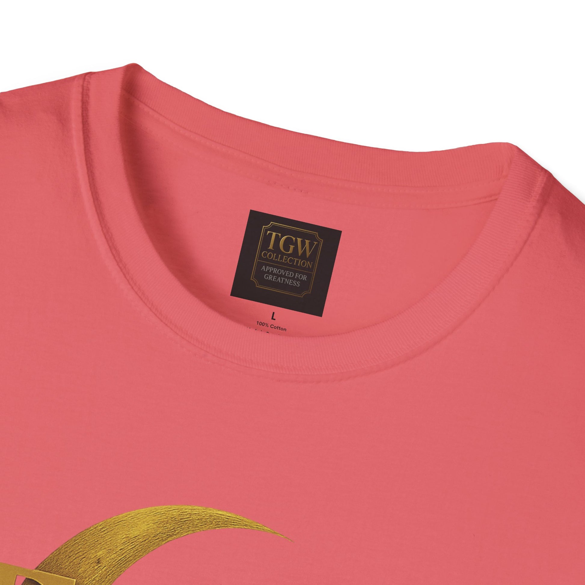 Shine Bright T-Shirt, Graphic Tee, Motivational Gift, Casual Wear, Inspirational Apparel