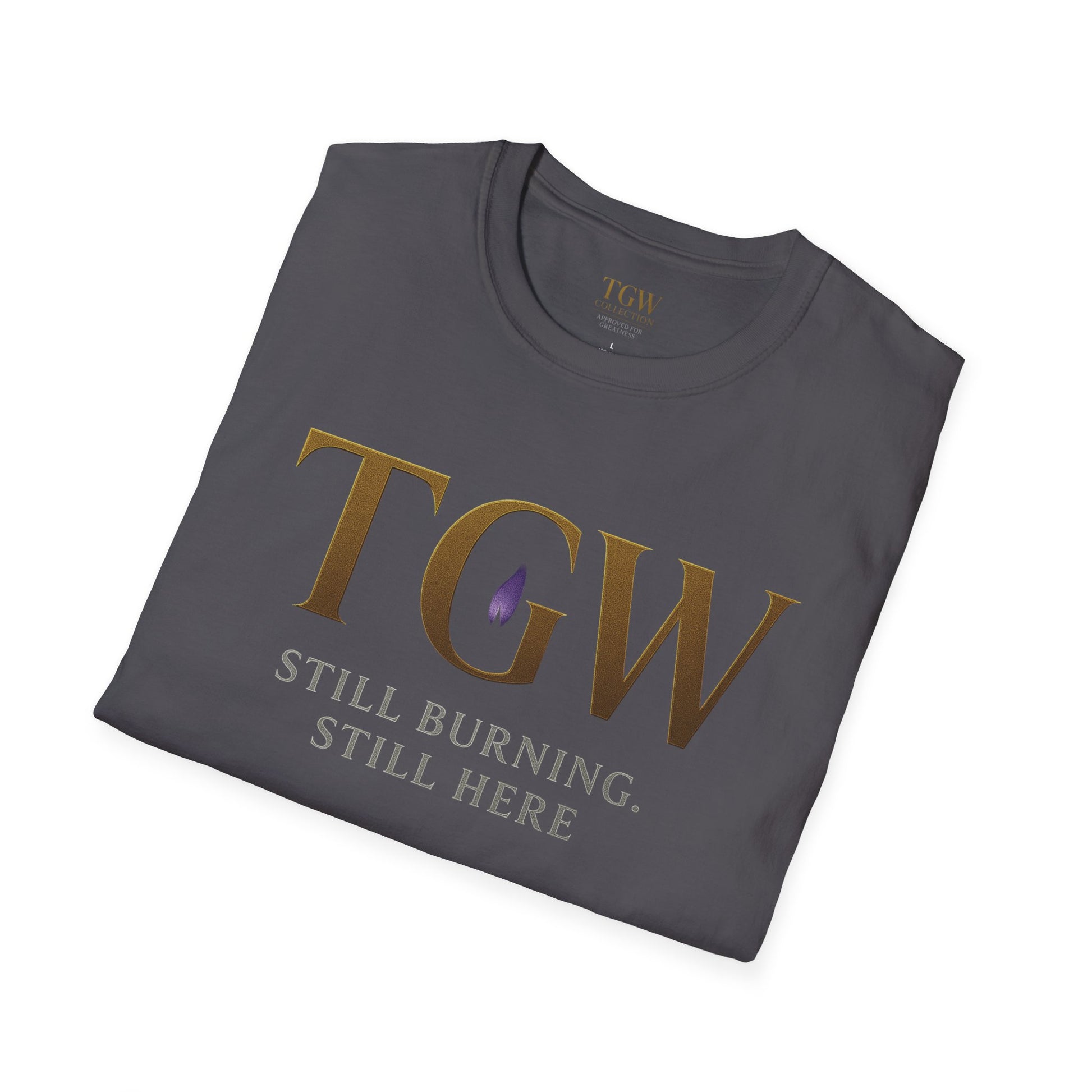 Stylish Motivational T-Shirt, Inspirational Apparel, Gift for Her, Casual Wear, Positive Affirmations Tee Gift