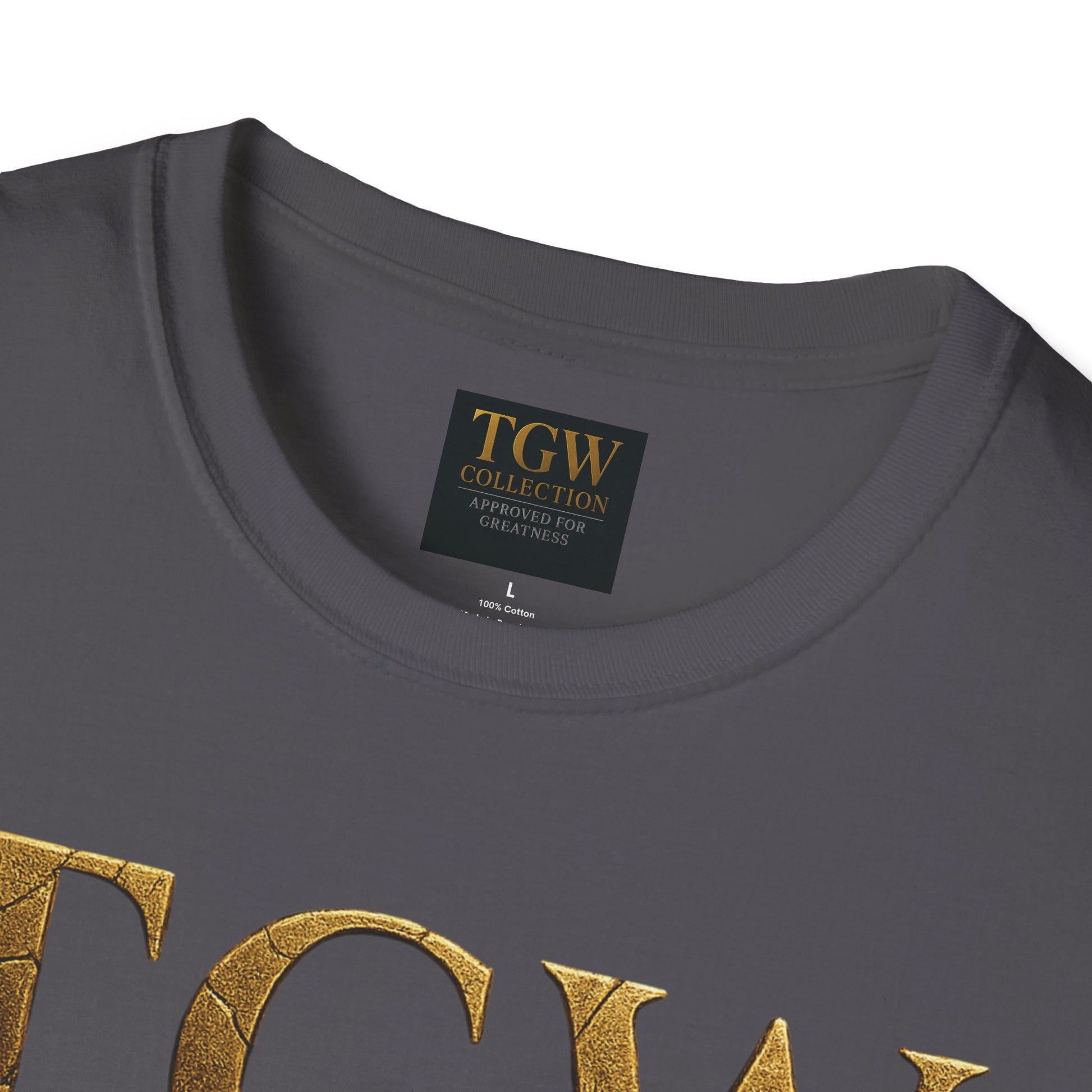 Stylish T-Shirt - Casual Wear for Everyday Comfort, Gift for Birthdays, Holidays, Relaxed Fit