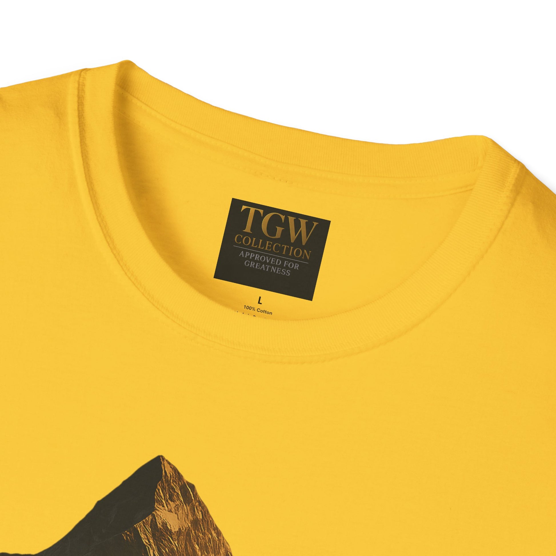 Stylish Mountain Graphic T-Shirt, Adventure Tee, Casual Wear, Apparel, Gift for Nature Lovers