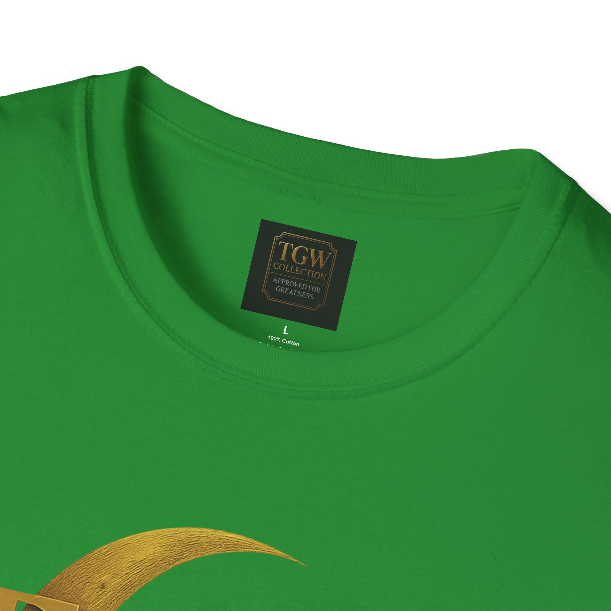 Shine Bright T-Shirt, Graphic Tee, Motivational Gift, Casual Wear, Inspirational Apparel