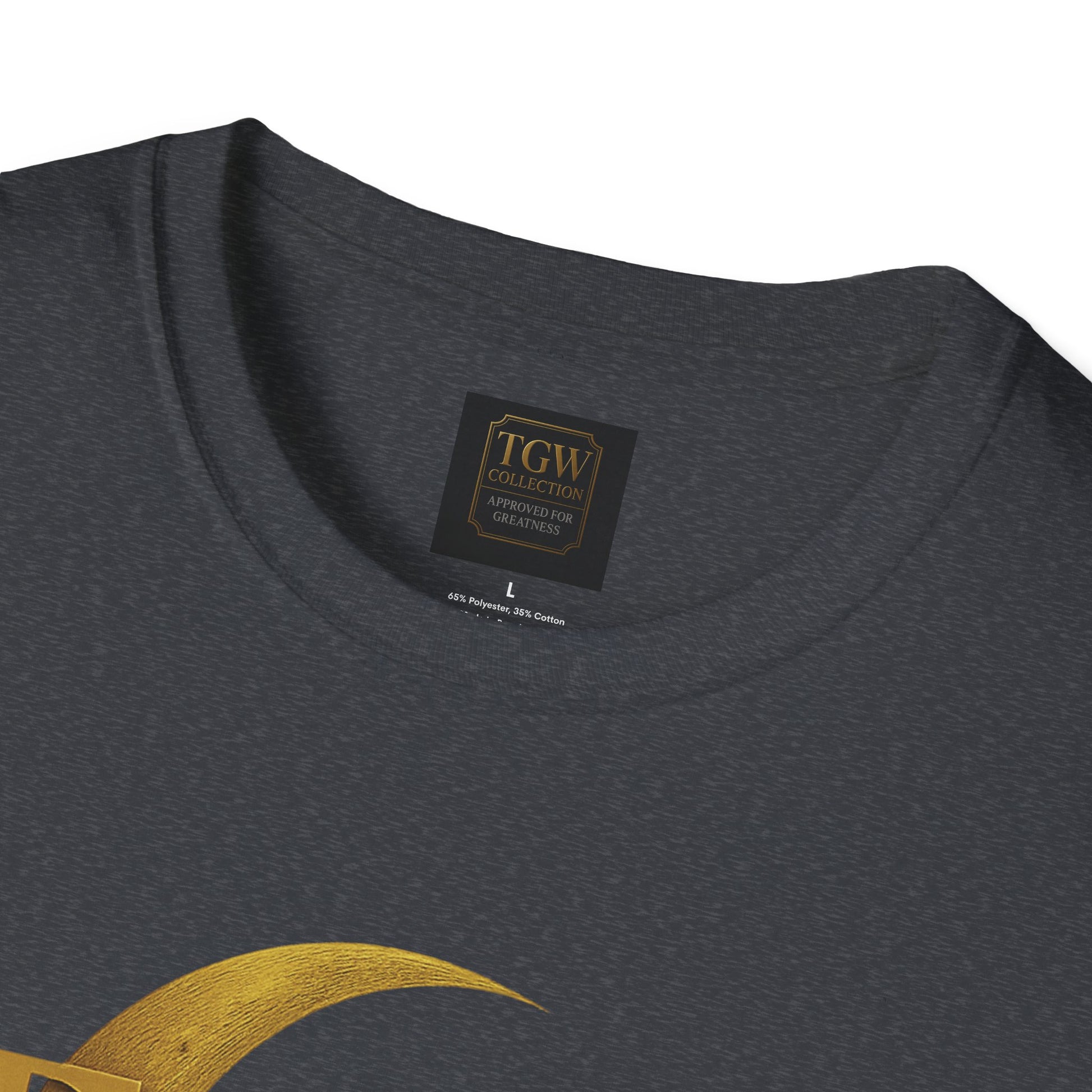 Shine Bright T-Shirt, Graphic Tee, Motivational Gift, Casual Wear, Inspirational Apparel