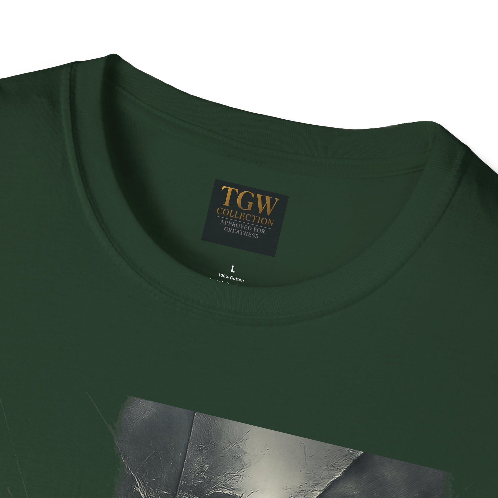 Stylish Graphic Tee, Cool Casual Wear, T-Shirt, Perfect Gift for Fans, Greatness Approved