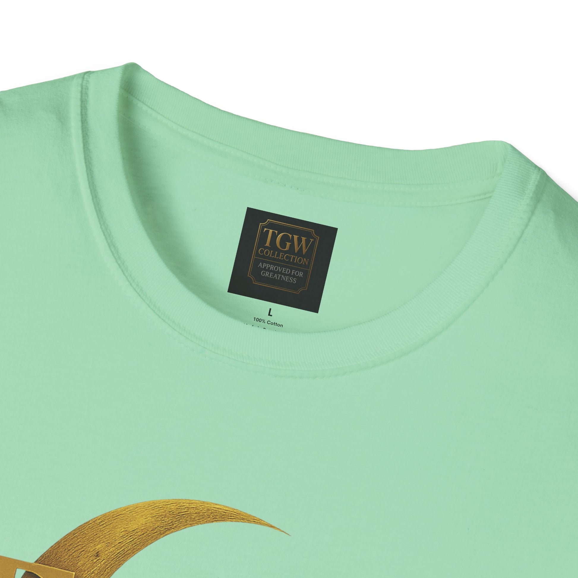 Shine Bright T-Shirt, Graphic Tee, Motivational Gift, Casual Wear, Inspirational Apparel